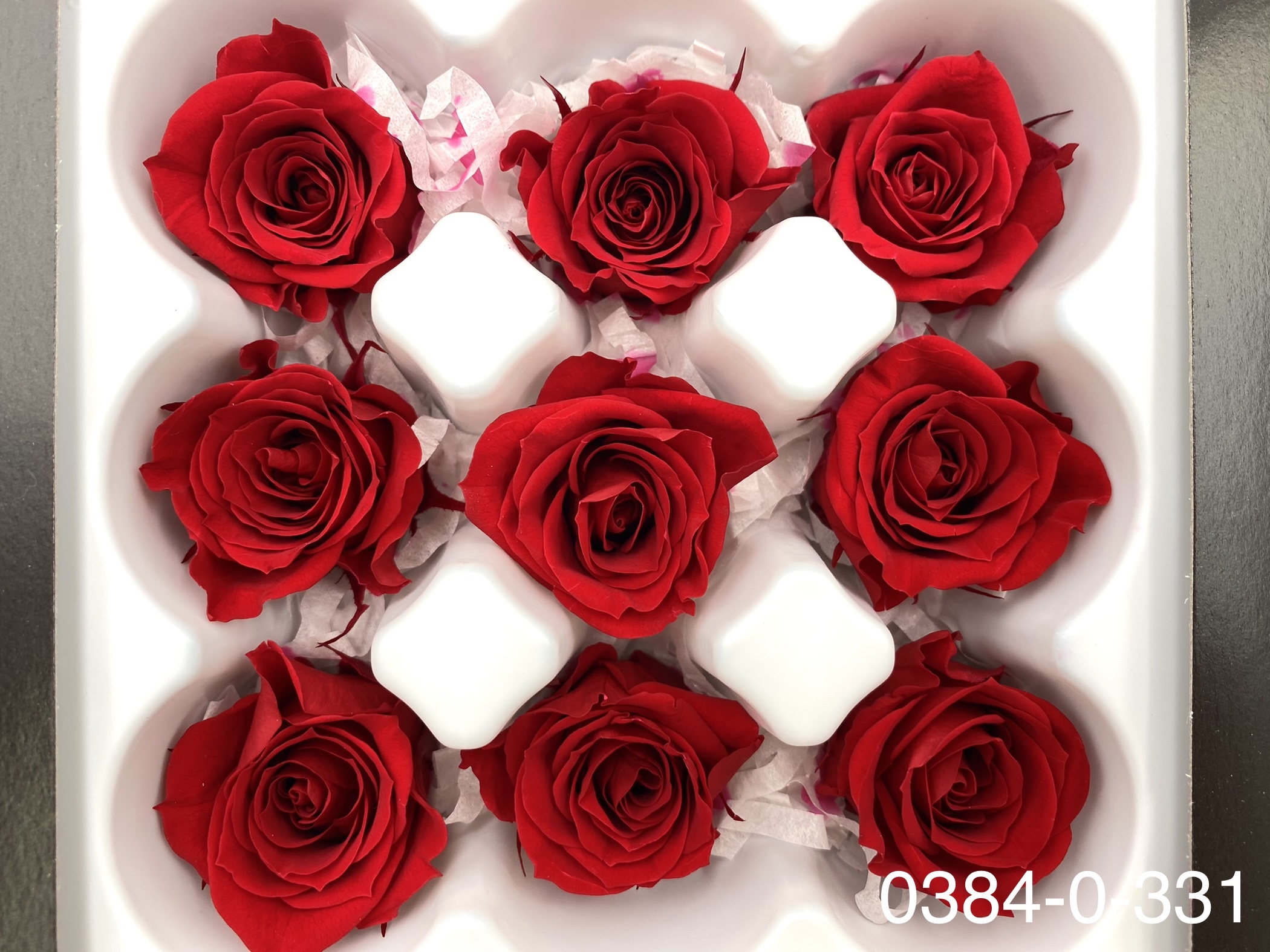 日本不凋小輪玫瑰(9朵) 03840-331