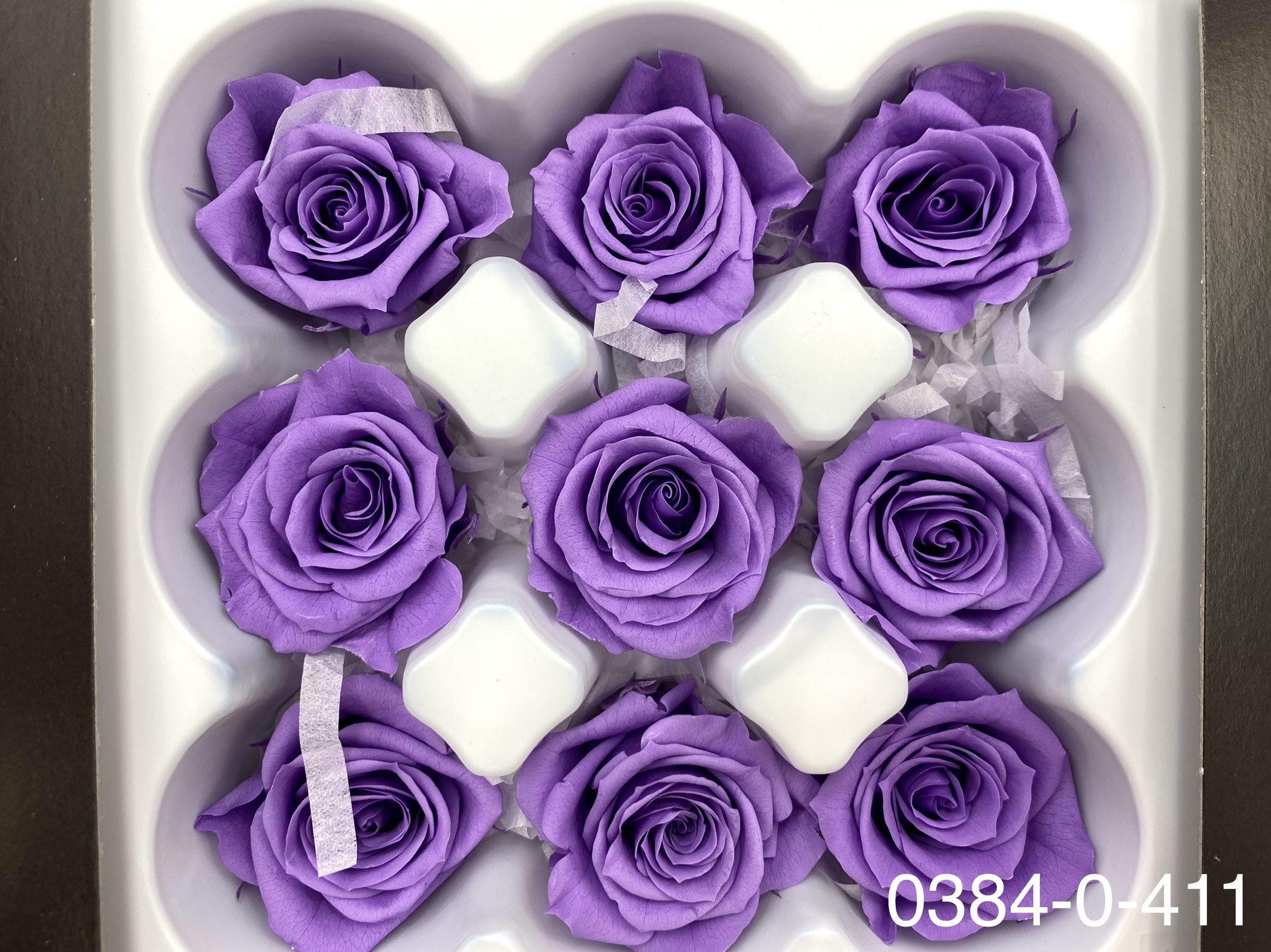 日本不凋小輪玫瑰(9朵) 03840-411