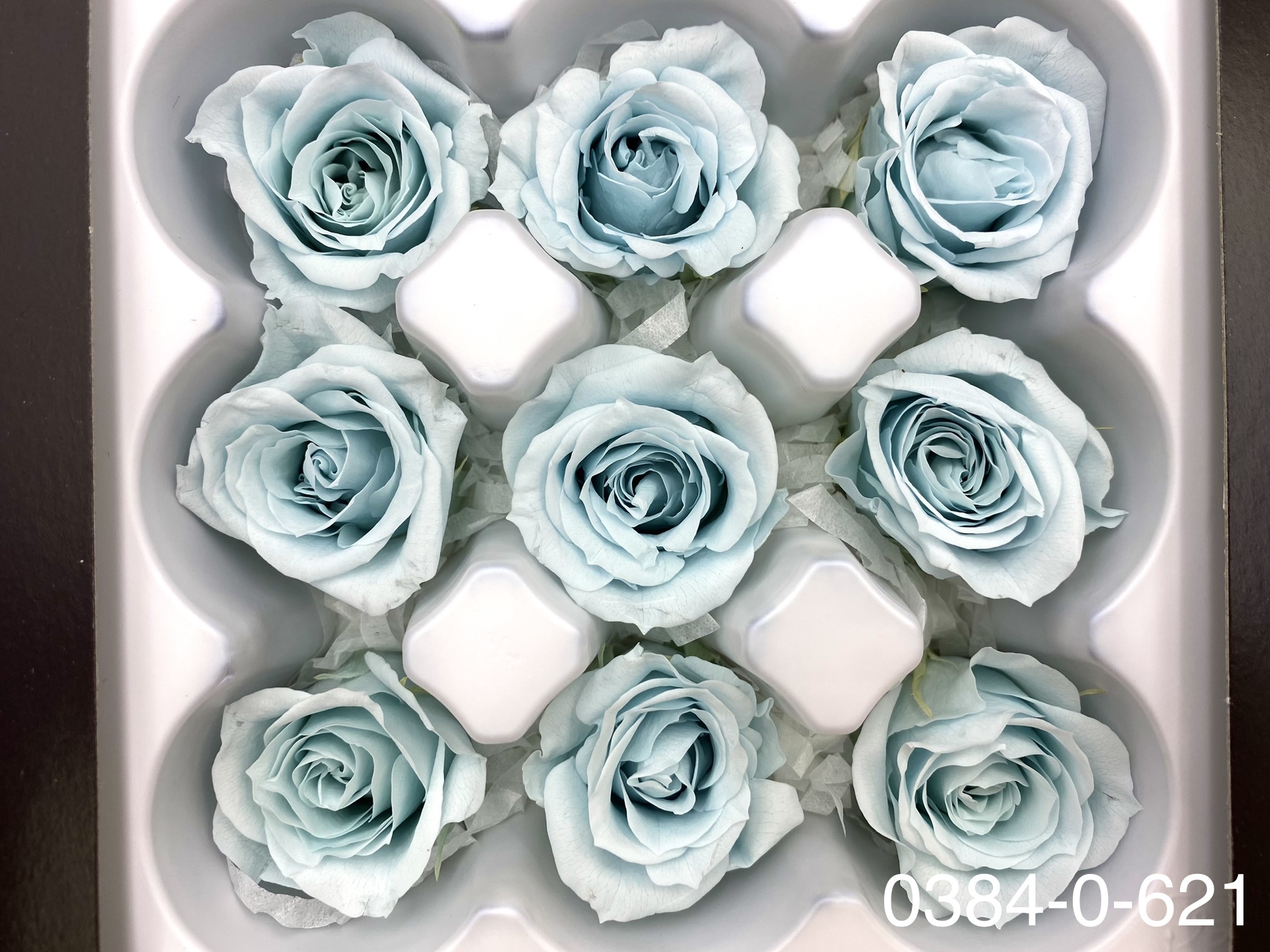 日本不凋小輪玫瑰(9朵) 03840-621