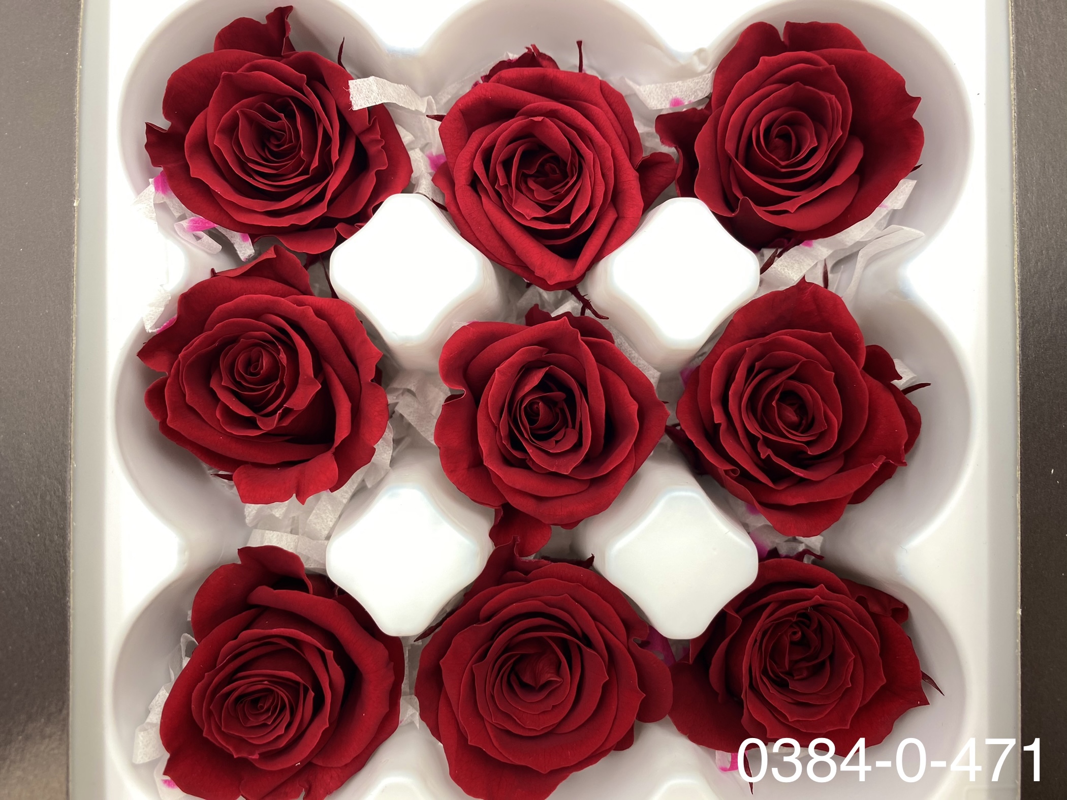 日本不凋小輪玫瑰(9朵) 03840-471