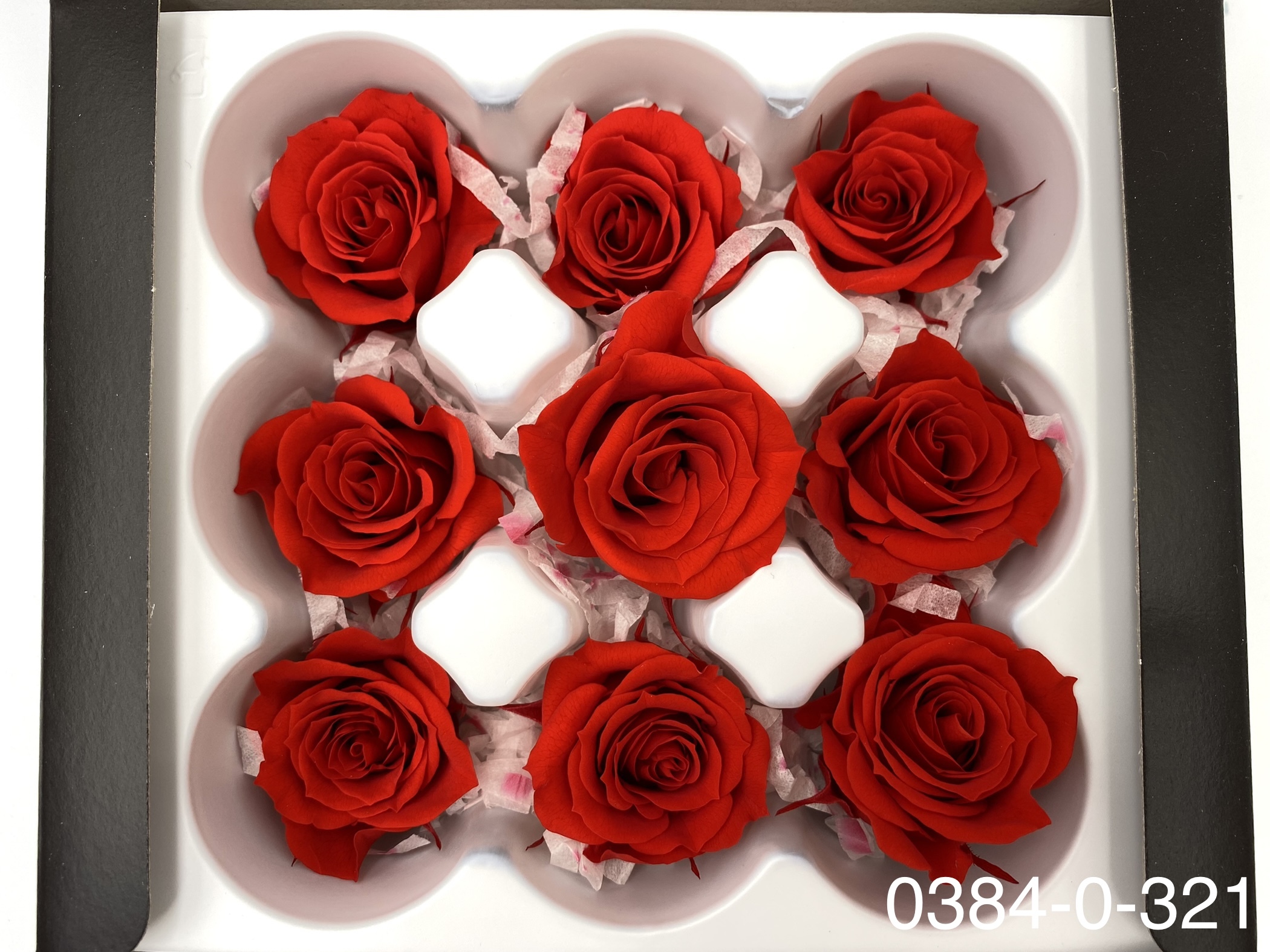 日本不凋小輪玫瑰(9朵) 03840-321