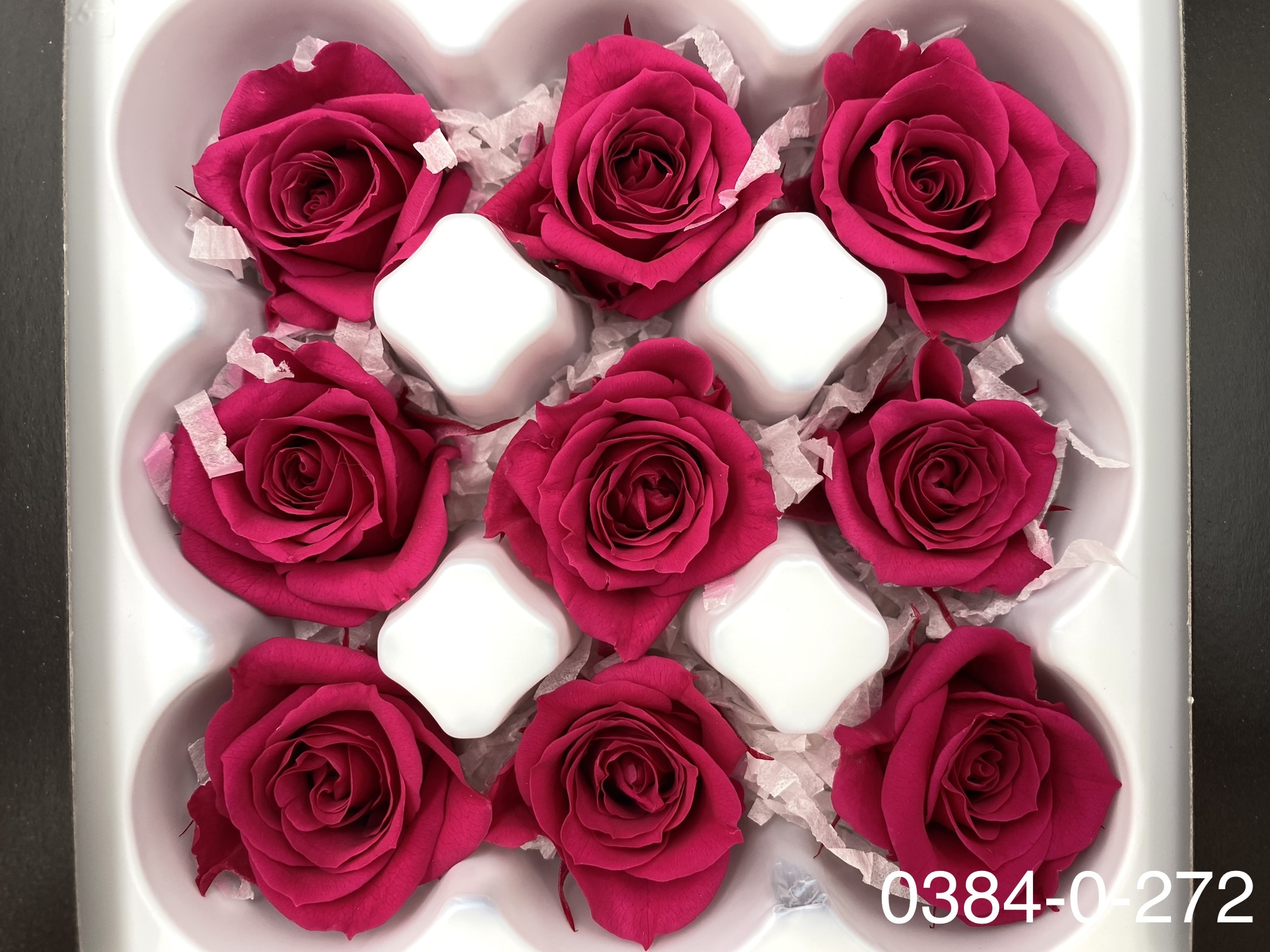 日本不凋小輪玫瑰(9朵) 03840-272