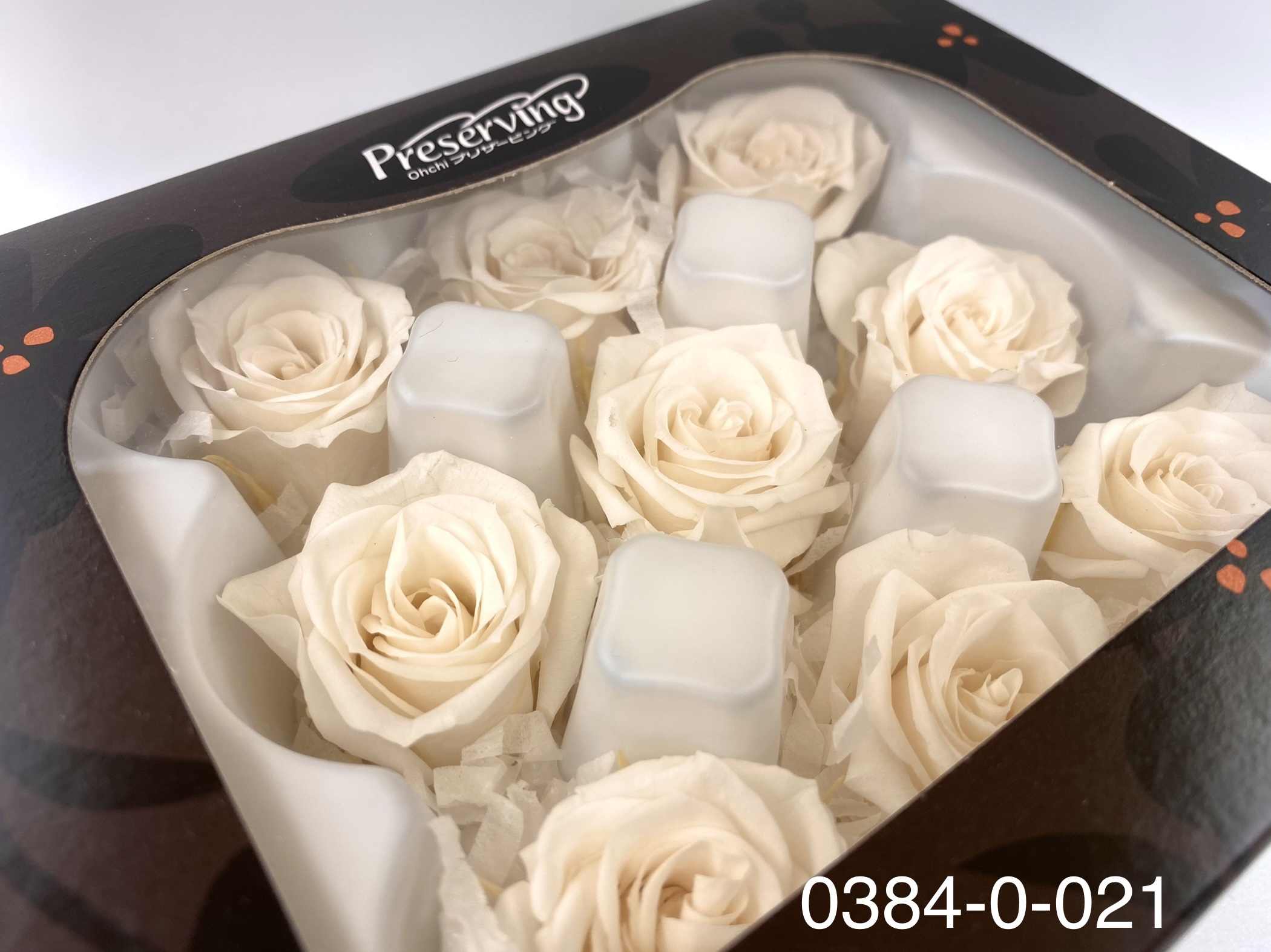 日本不凋小輪玫瑰(9朵) 03840-021