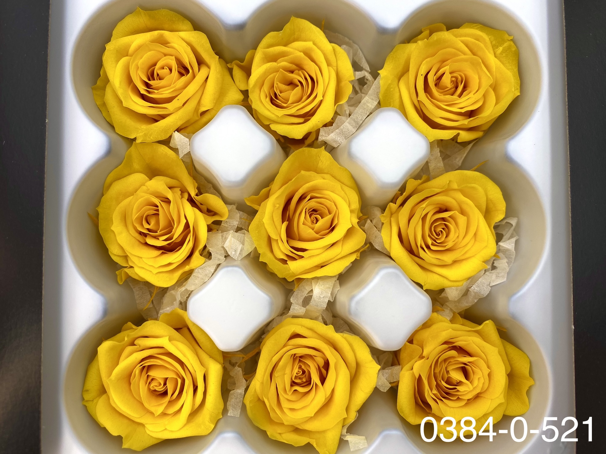 日本不凋小輪玫瑰(9朵) 03840-521