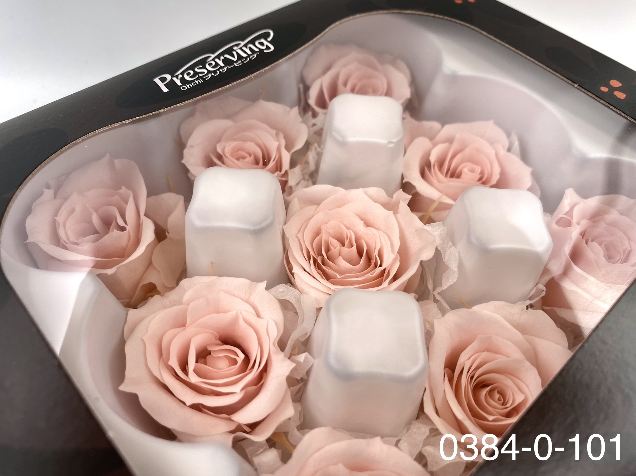 日本不凋小輪玫瑰(9朵) 03840-101