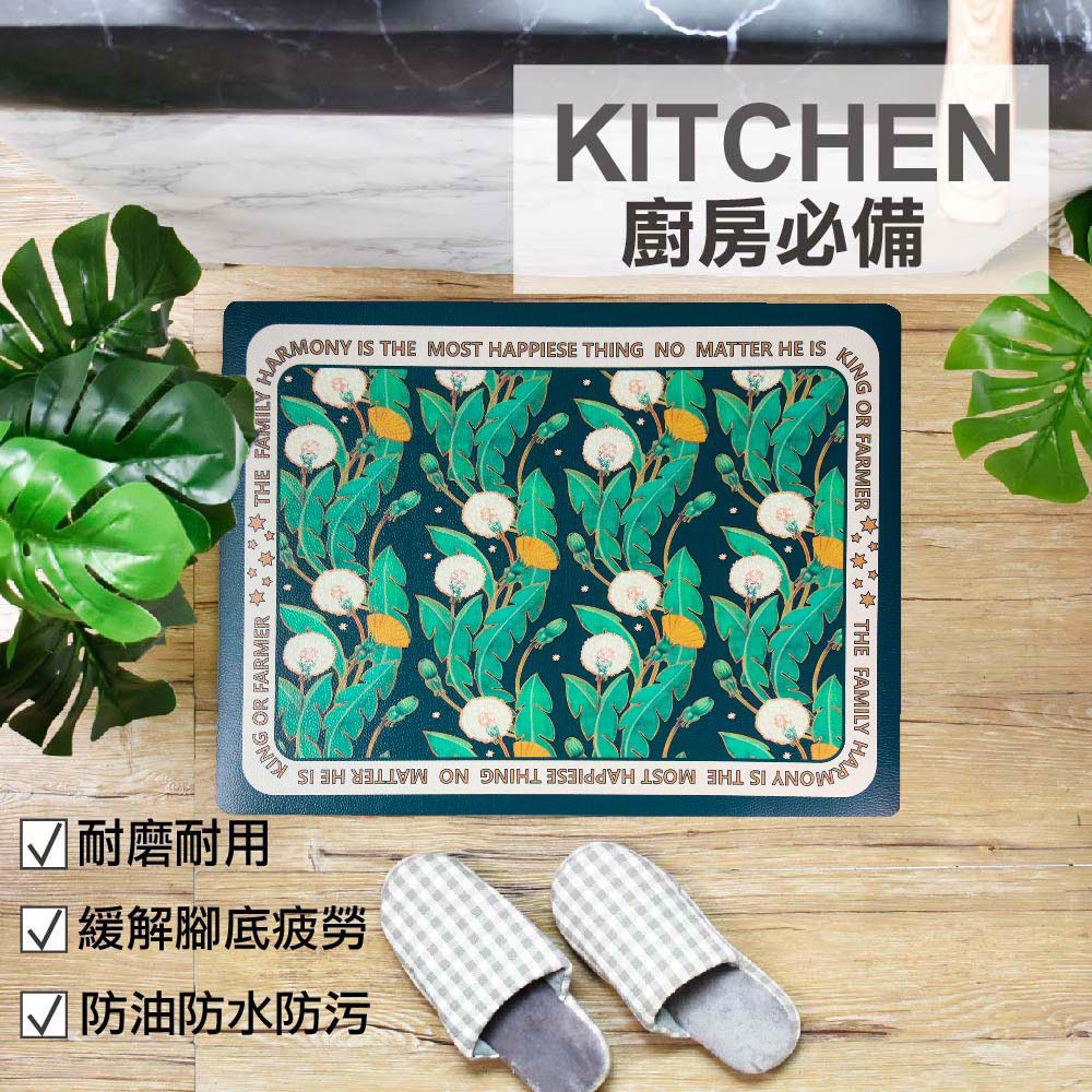 防油短皮革地墊-K539S波蘭雪球園