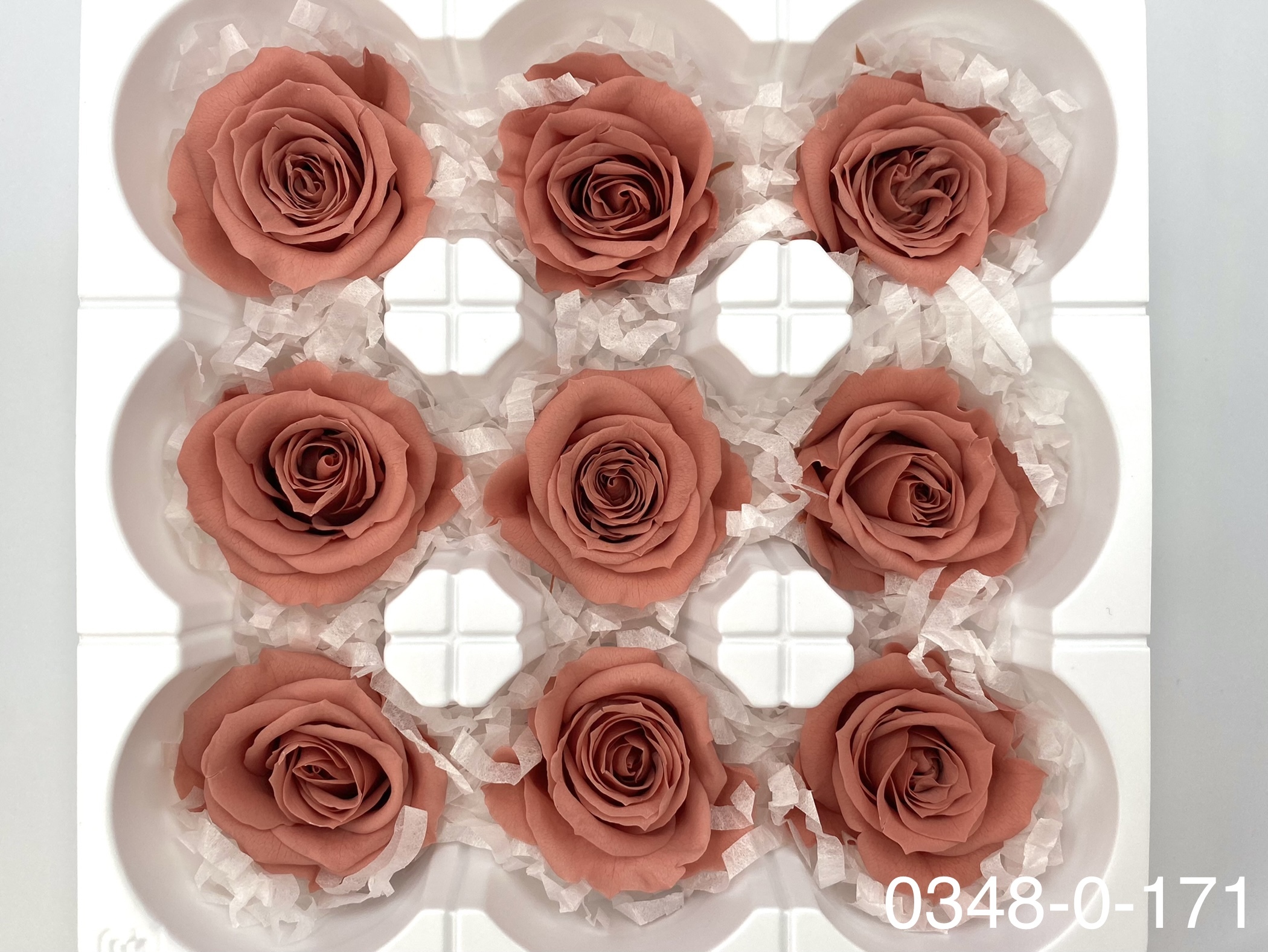 日本不凋中輪玫瑰(9朵) 03480-171