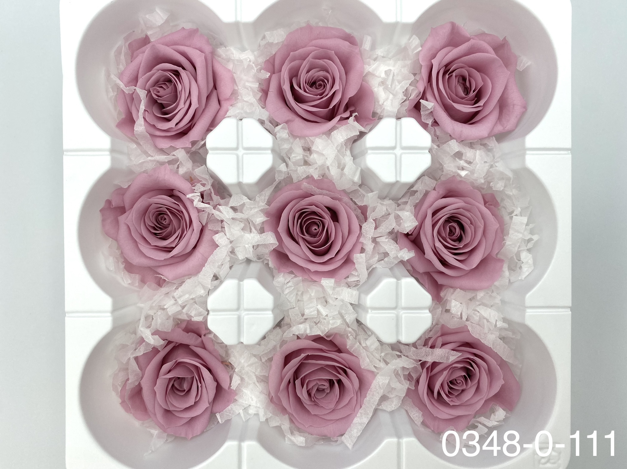 日本不凋中輪玫瑰(9朵) 03480-111