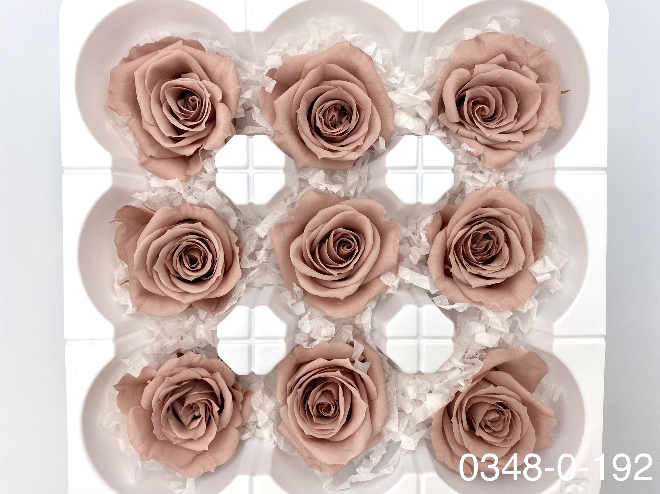 日本不凋中輪玫瑰(9朵) 03480-192