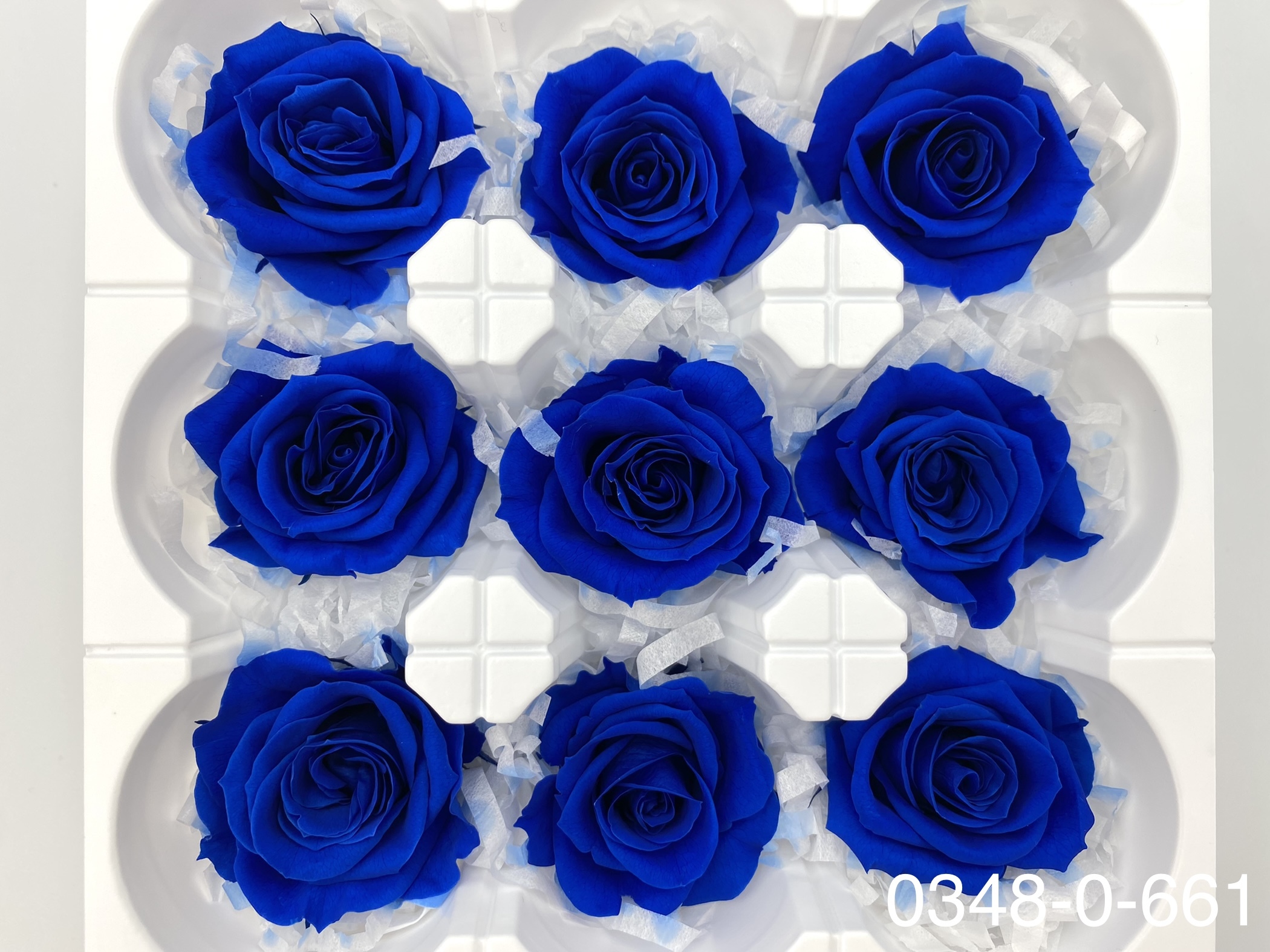 日本不凋中輪玫瑰(9朵) 03480-661