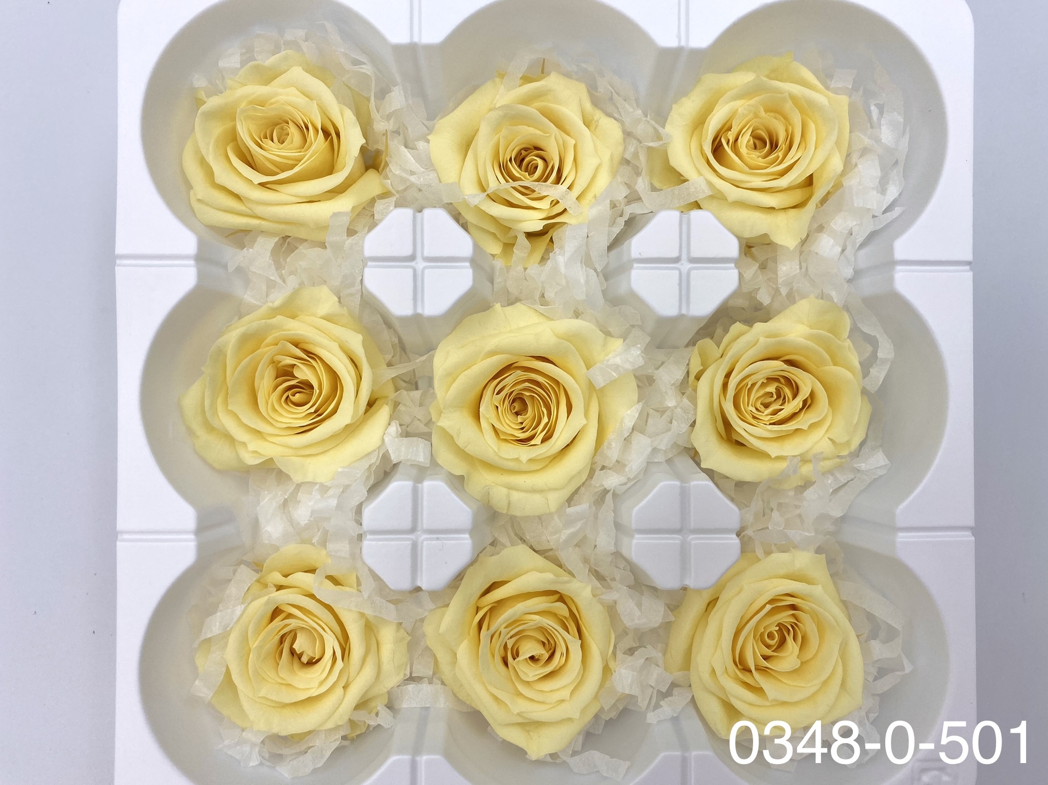 日本不凋中輪玫瑰(9朵) 03480-501