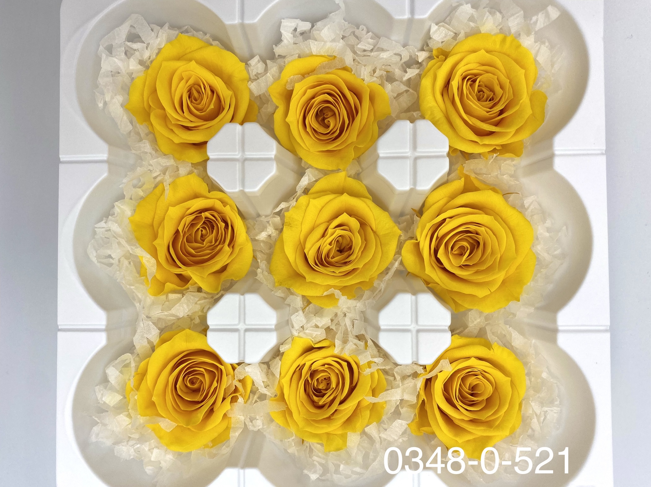 日本不凋中輪玫瑰(9朵) 03480-521