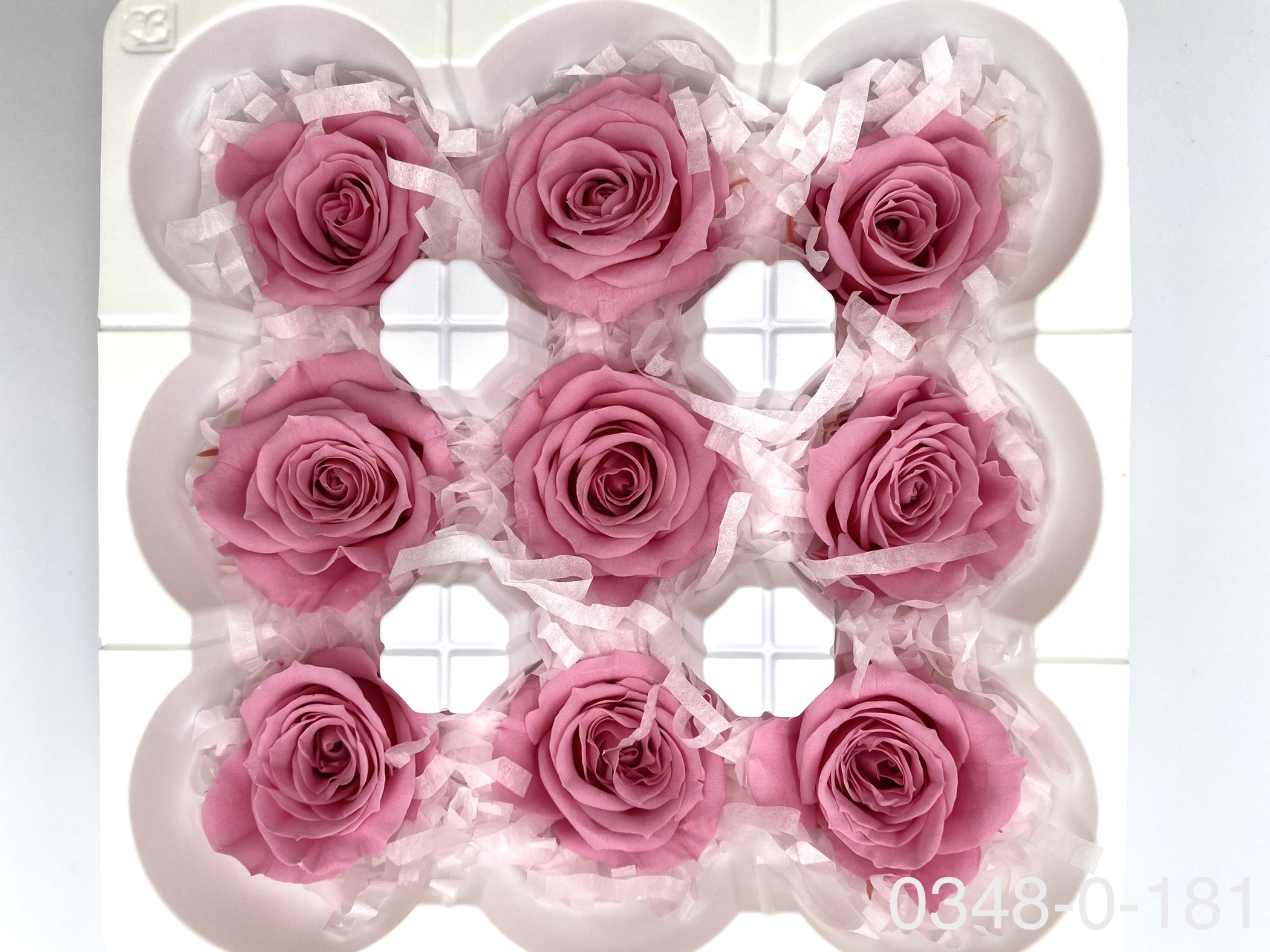 日本不凋中輪玫瑰(9朵) 03480-181