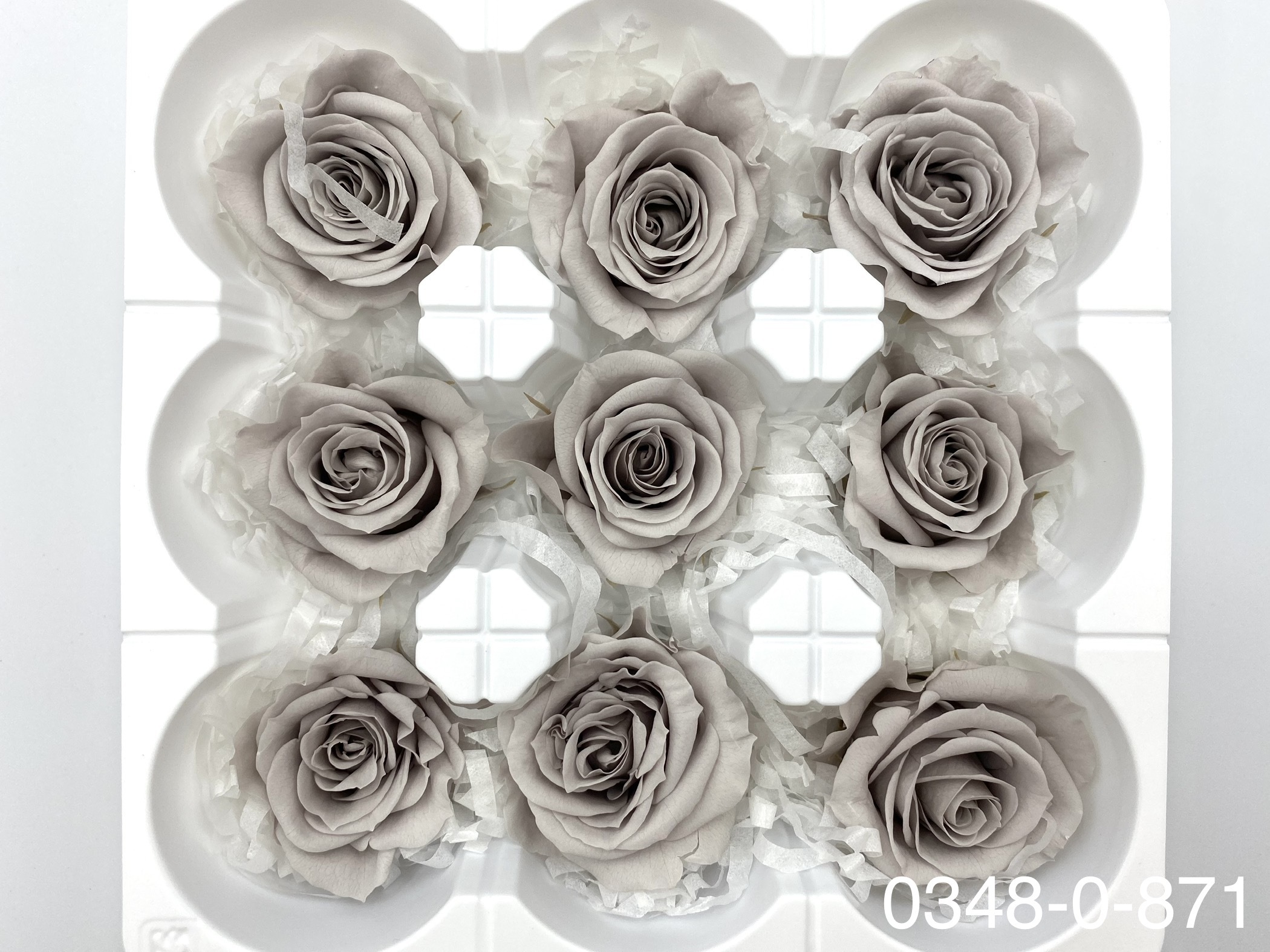 日本不凋中輪玫瑰(9朵) 03480-871