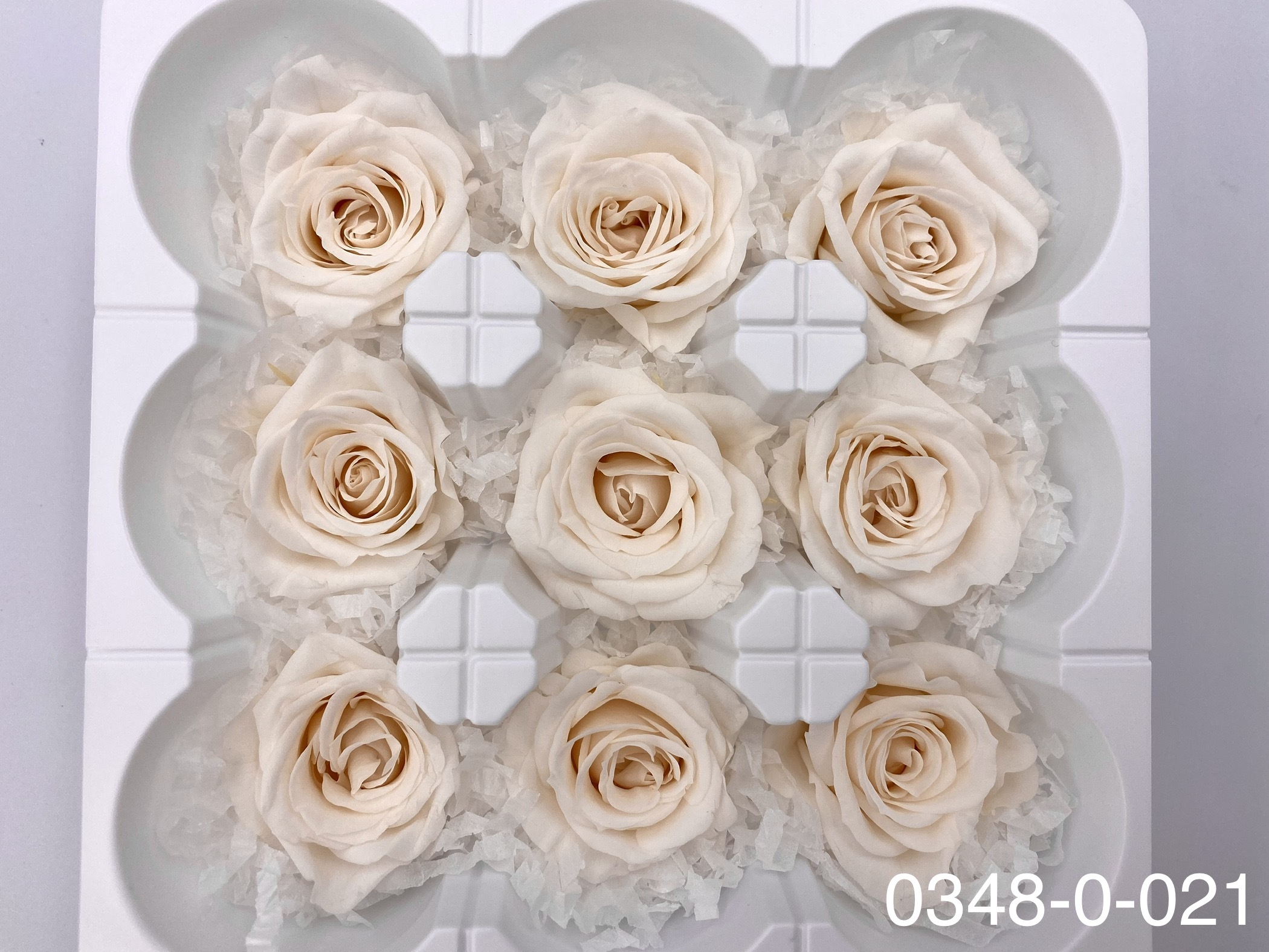 日本不凋中輪玫瑰(9朵) 03480-021