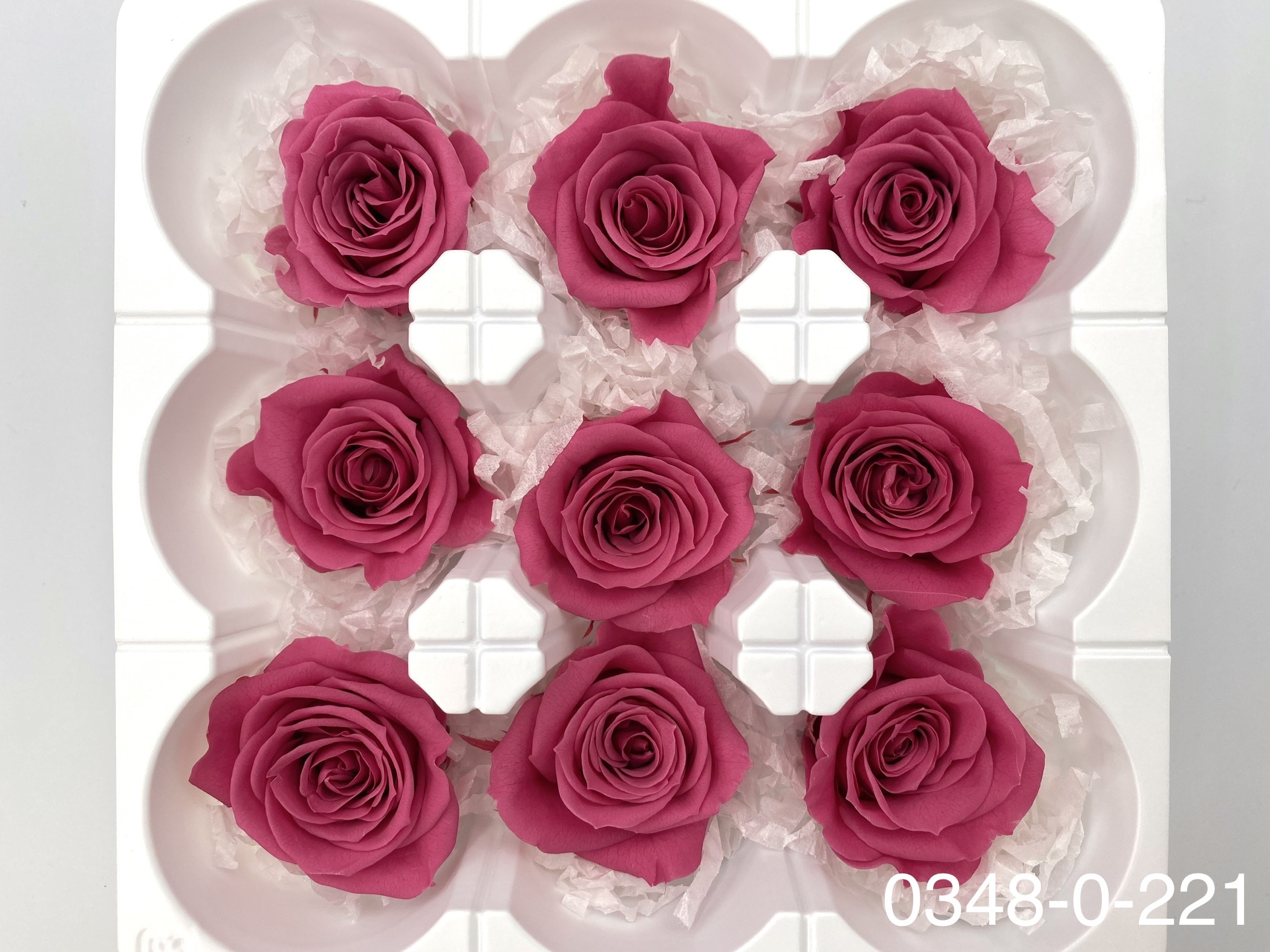 日本不凋中輪玫瑰(9朵) 03480-221