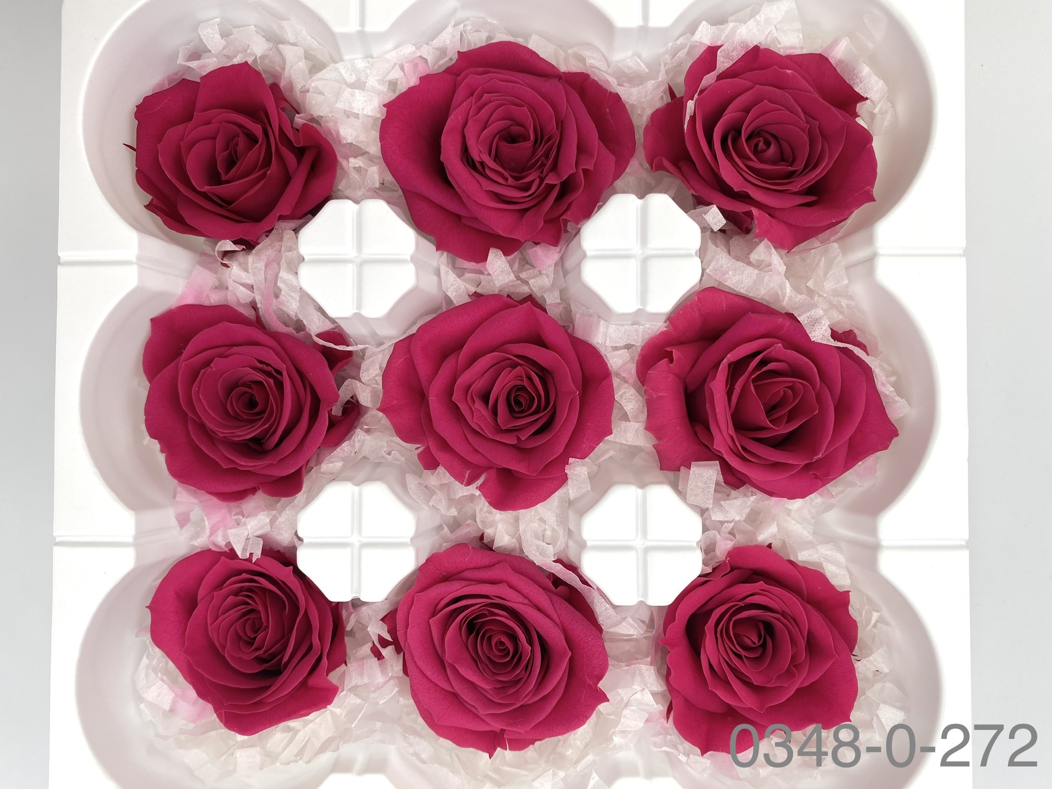 日本不凋中輪玫瑰(9朵) 03480-272