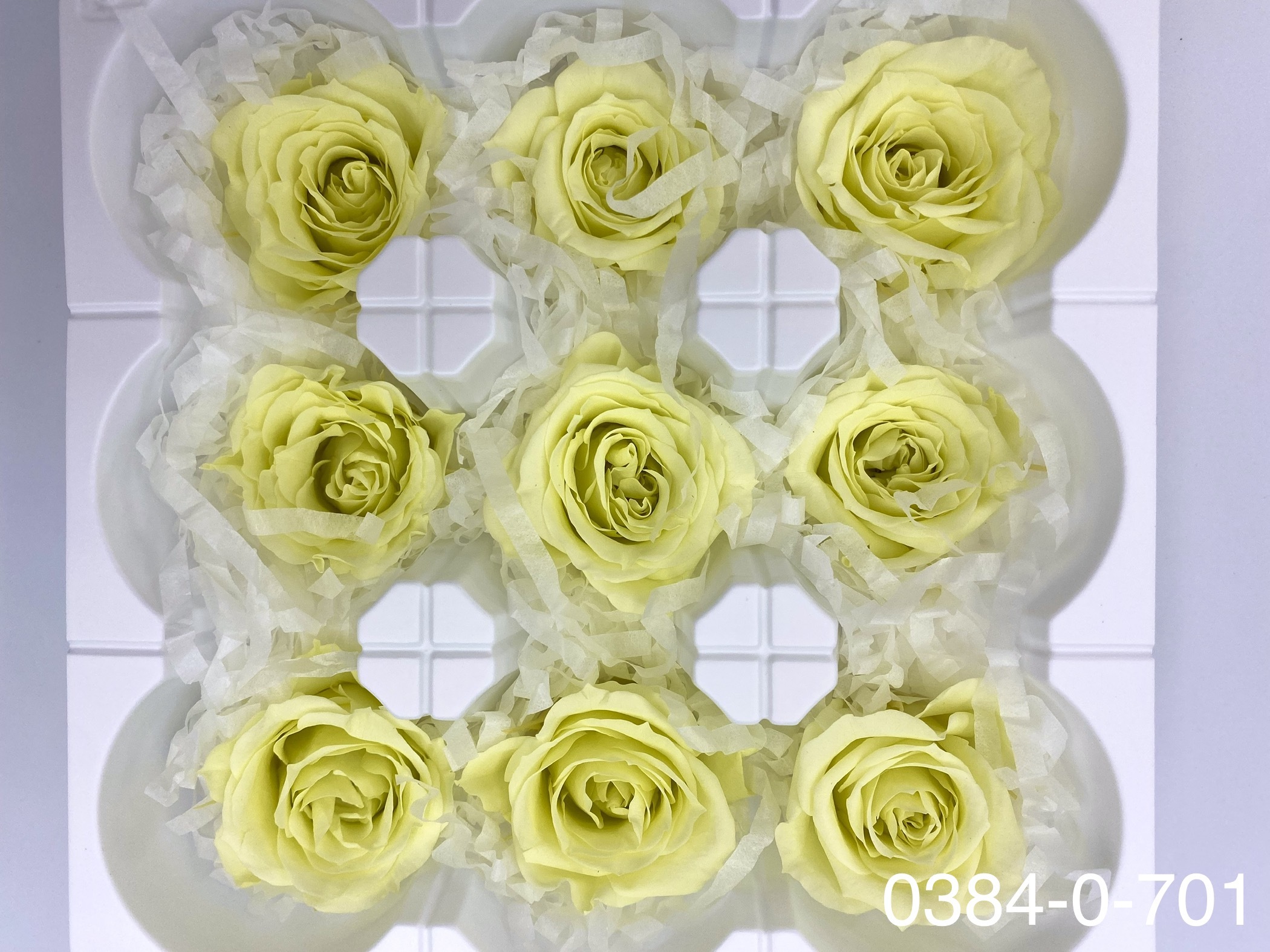 日本不凋中輪玫瑰(9朵) 03480-701