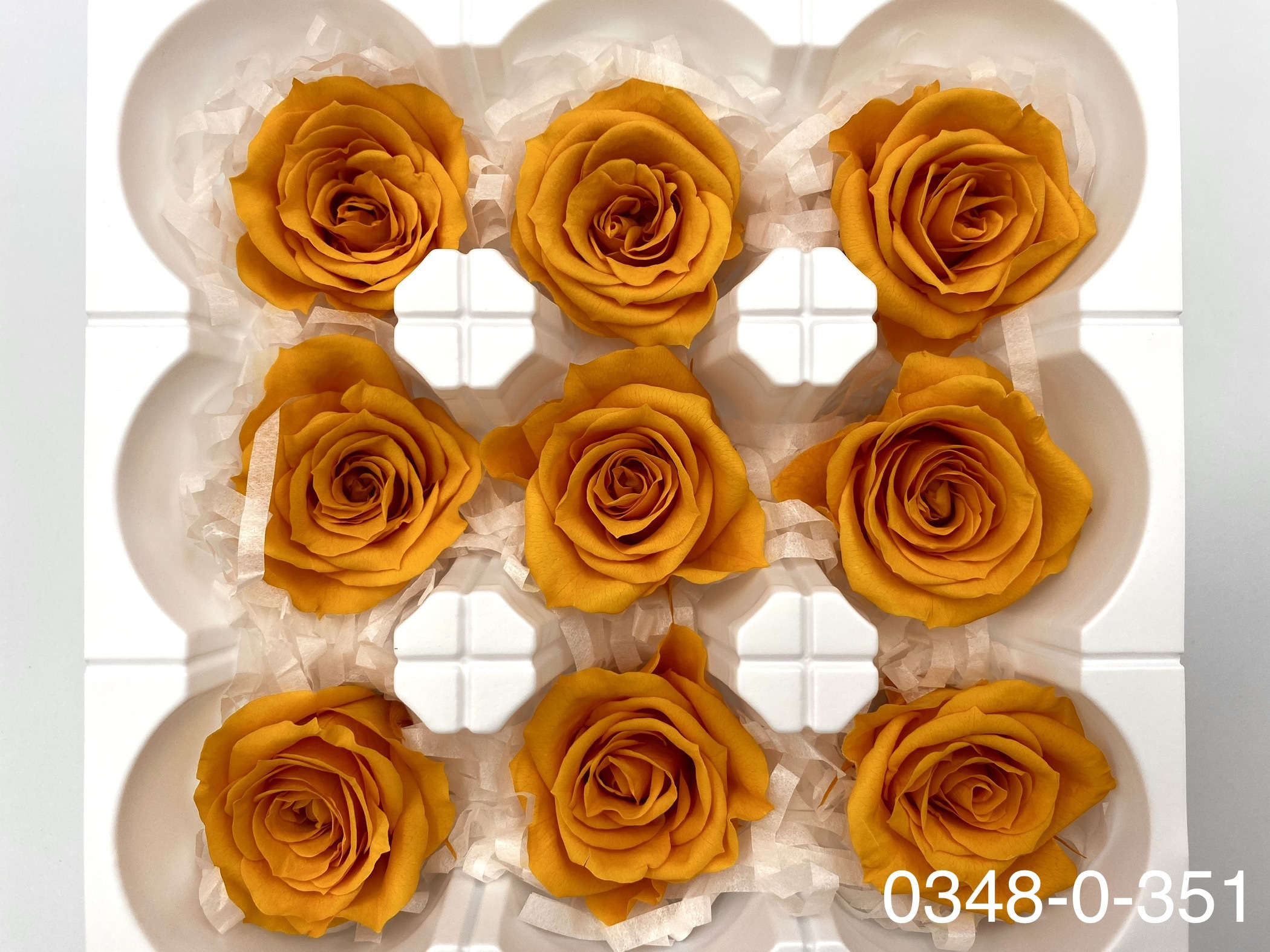 日本不凋中輪玫瑰(9朵) 03480-351