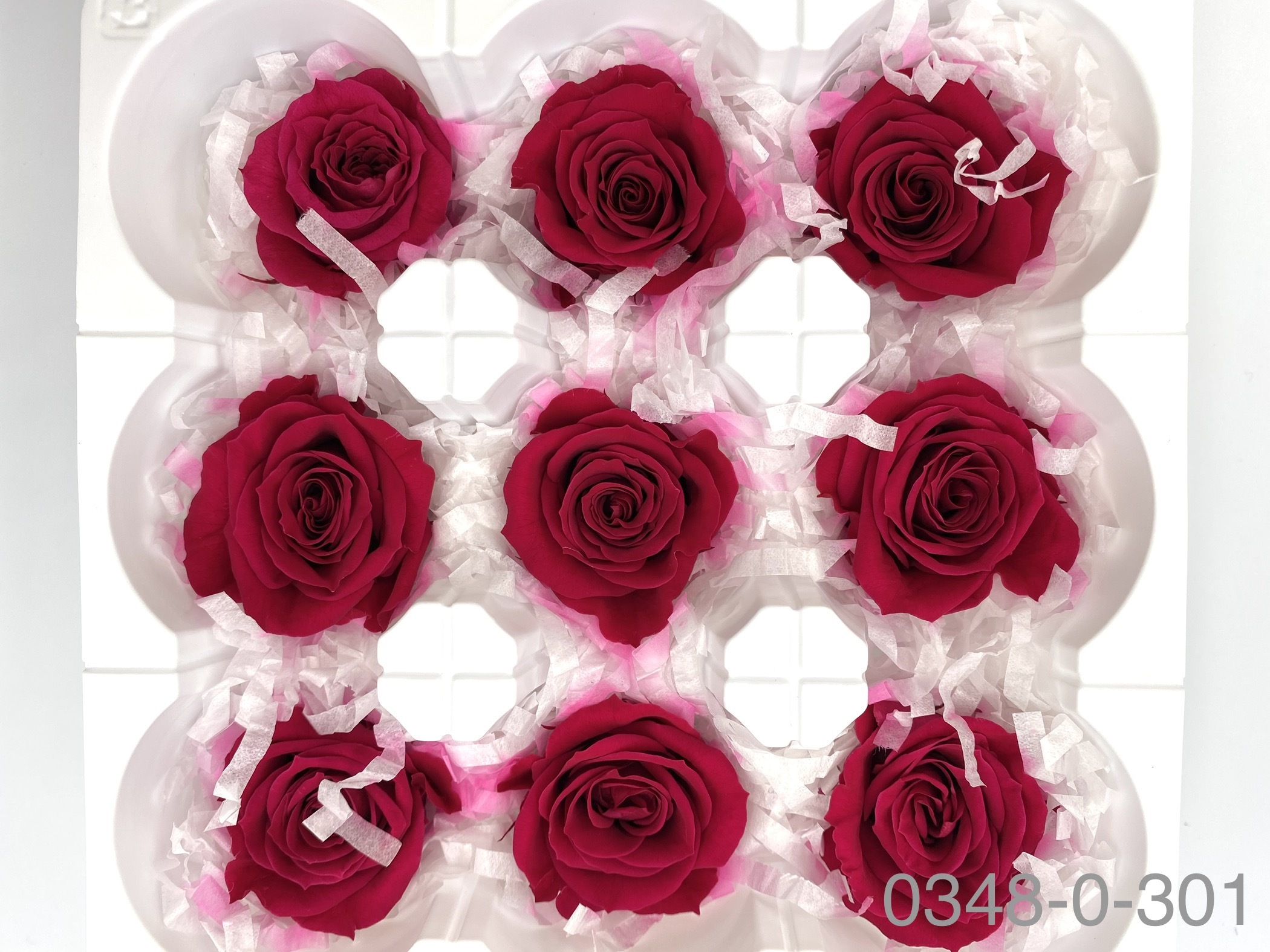 日本不凋中輪玫瑰(9朵) 03480-301