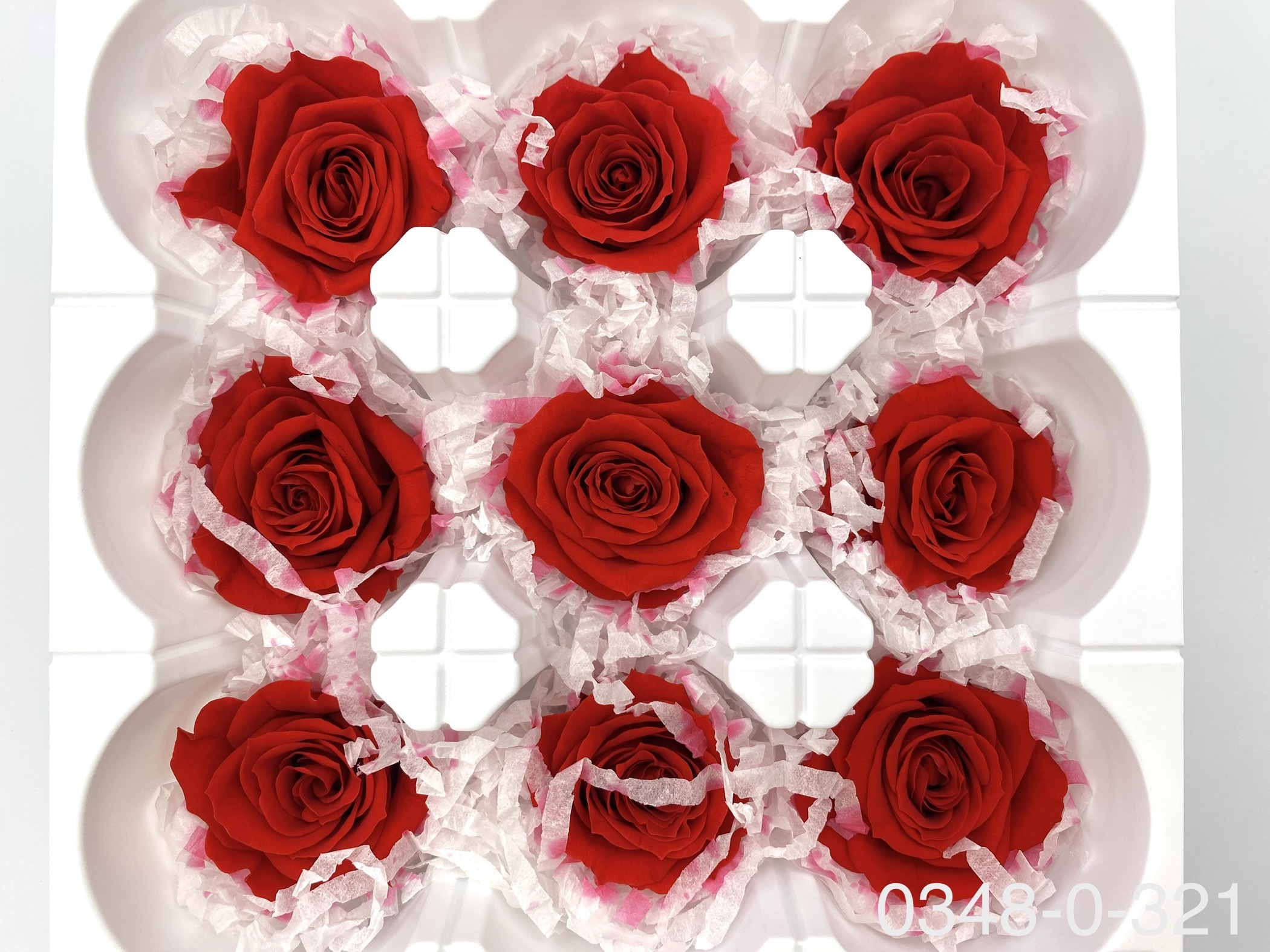 日本不凋中輪玫瑰(9朵) 03480-321