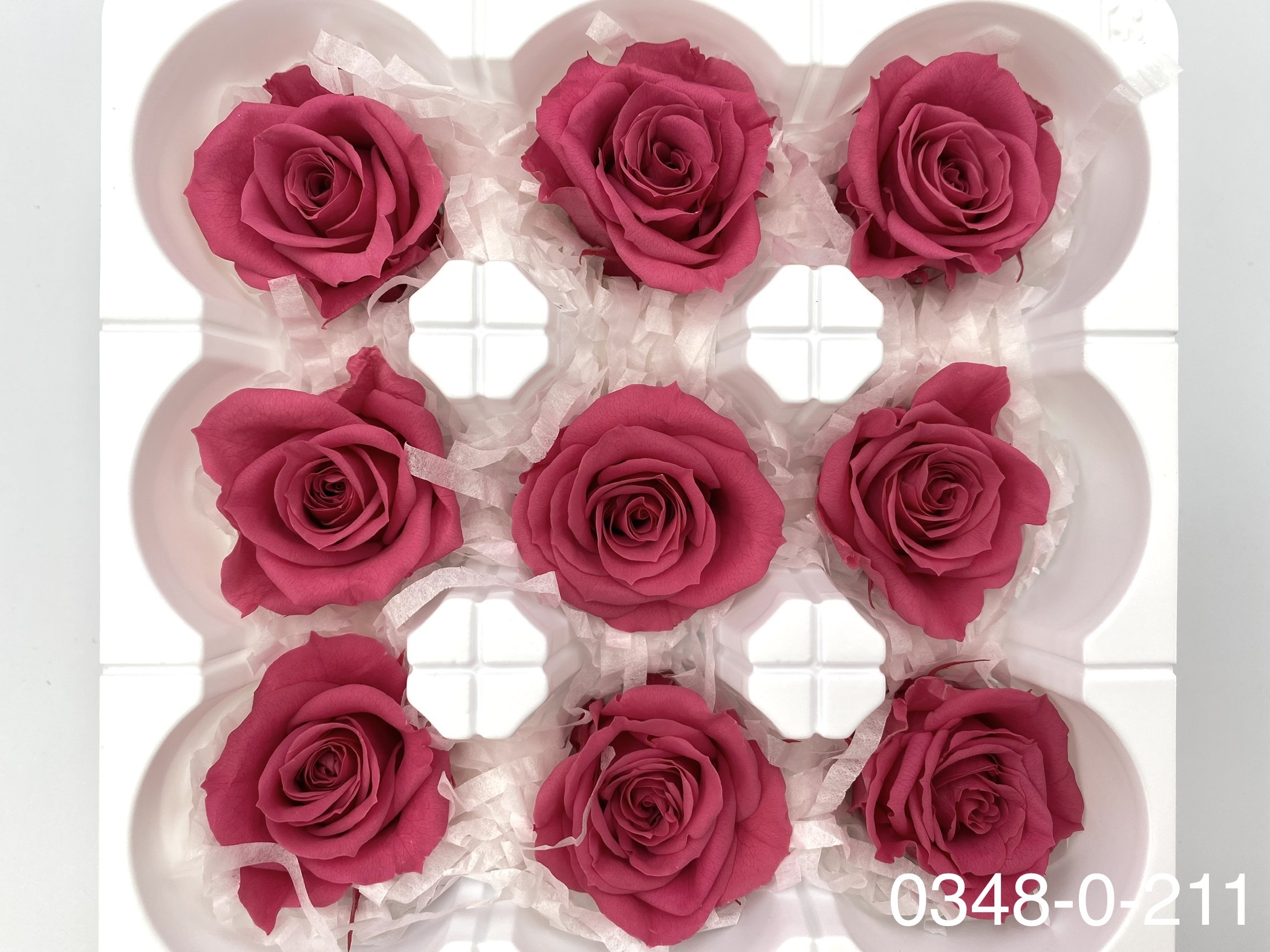 日本不凋中輪玫瑰(9朵) 03480-211