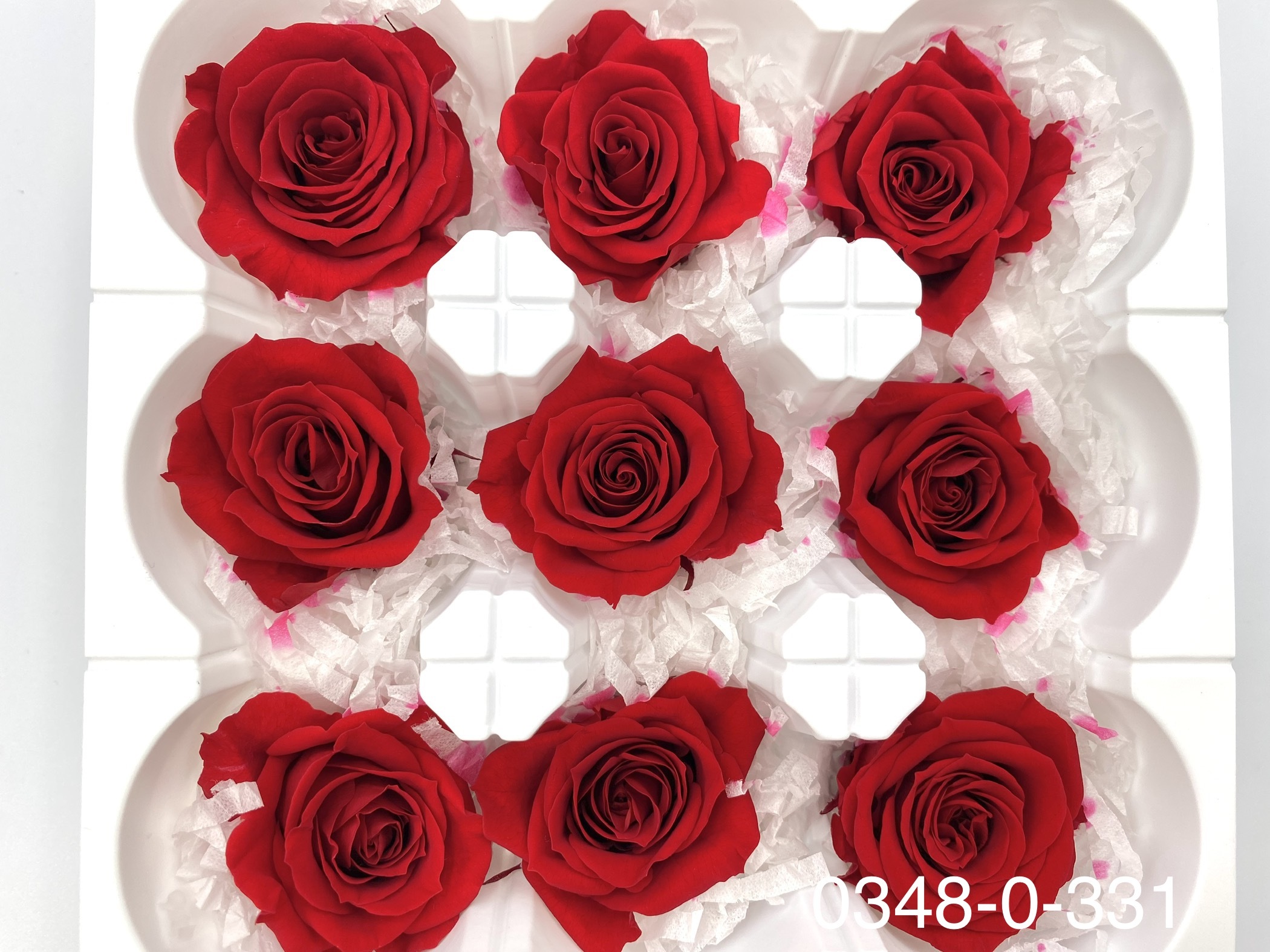 日本不凋中輪玫瑰(9朵) 03480-331