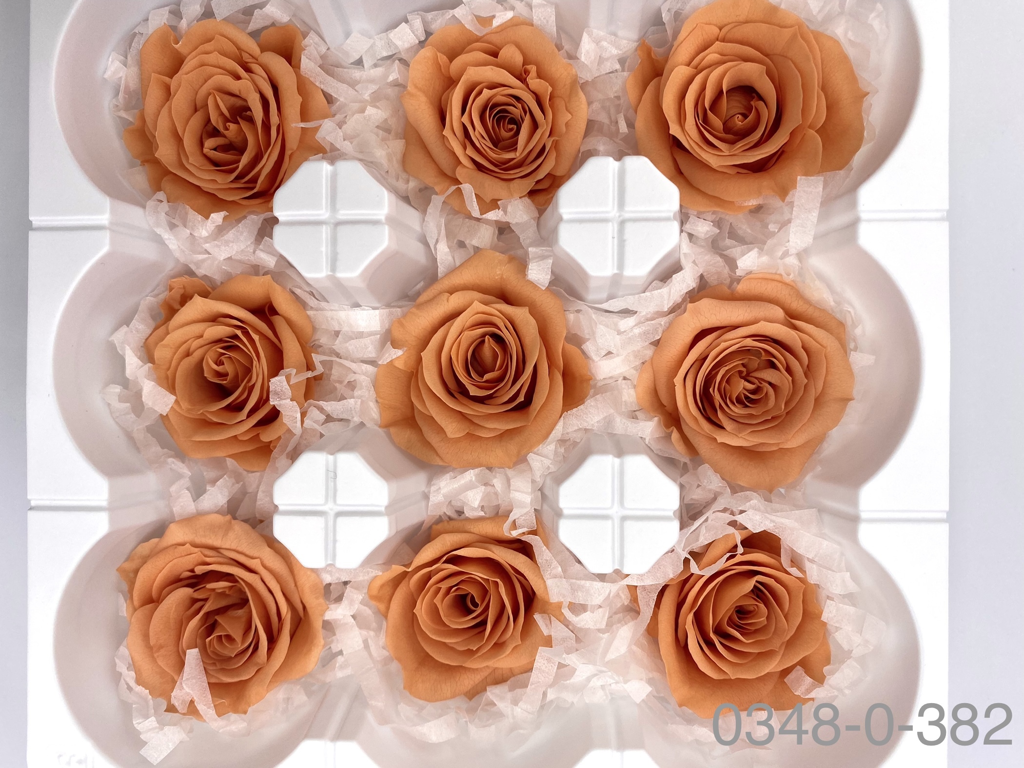 日本不凋中輪玫瑰(9朵) 03480-382