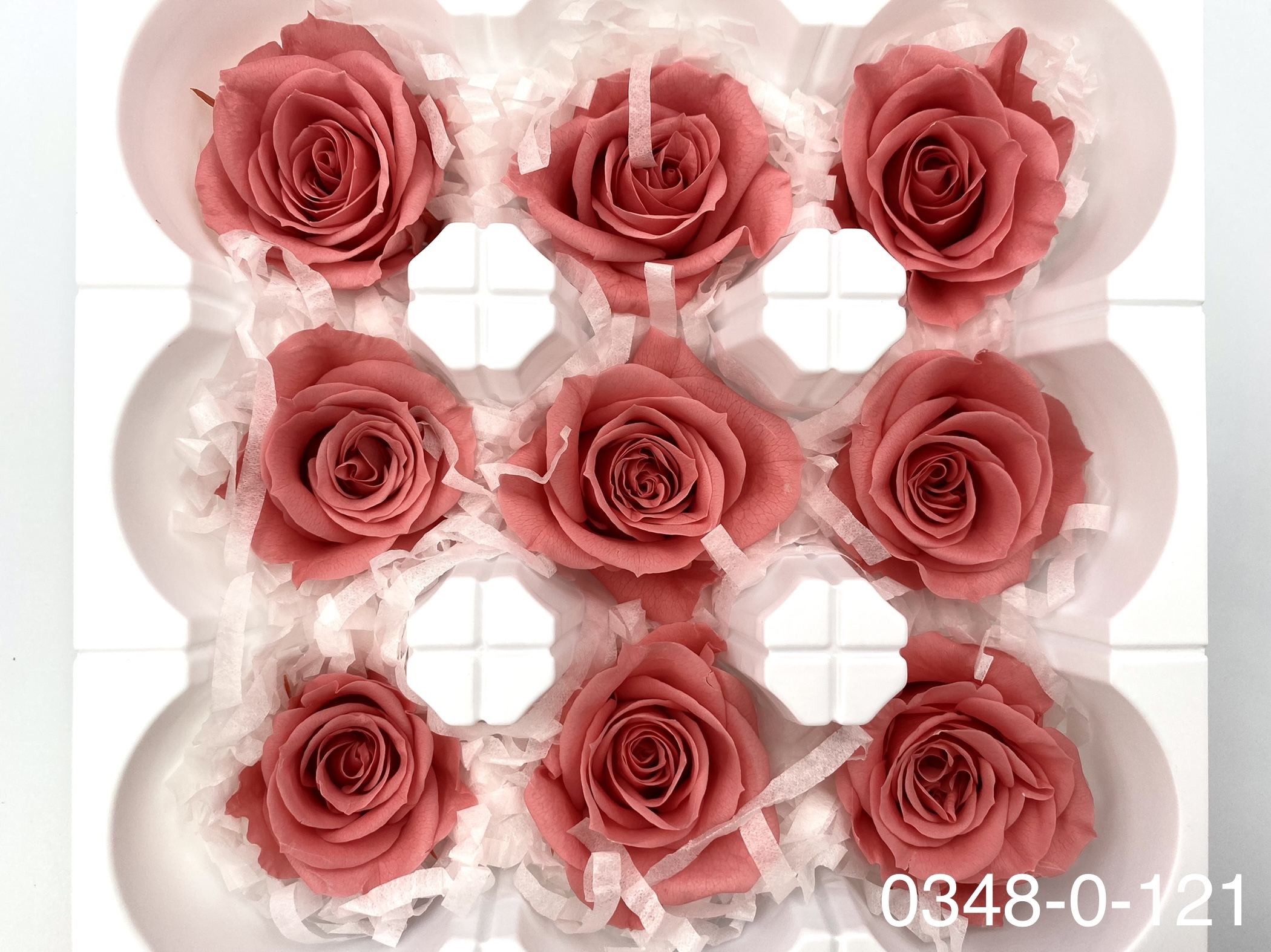 日本不凋中輪玫瑰(9朵) 03480-121