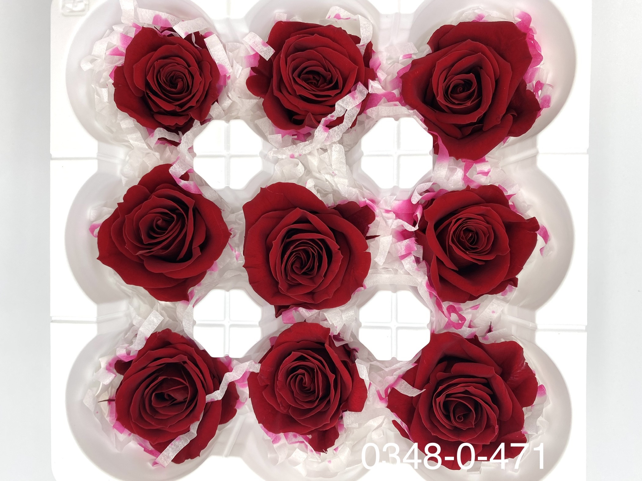 日本不凋中輪玫瑰(9朵) 03480-471