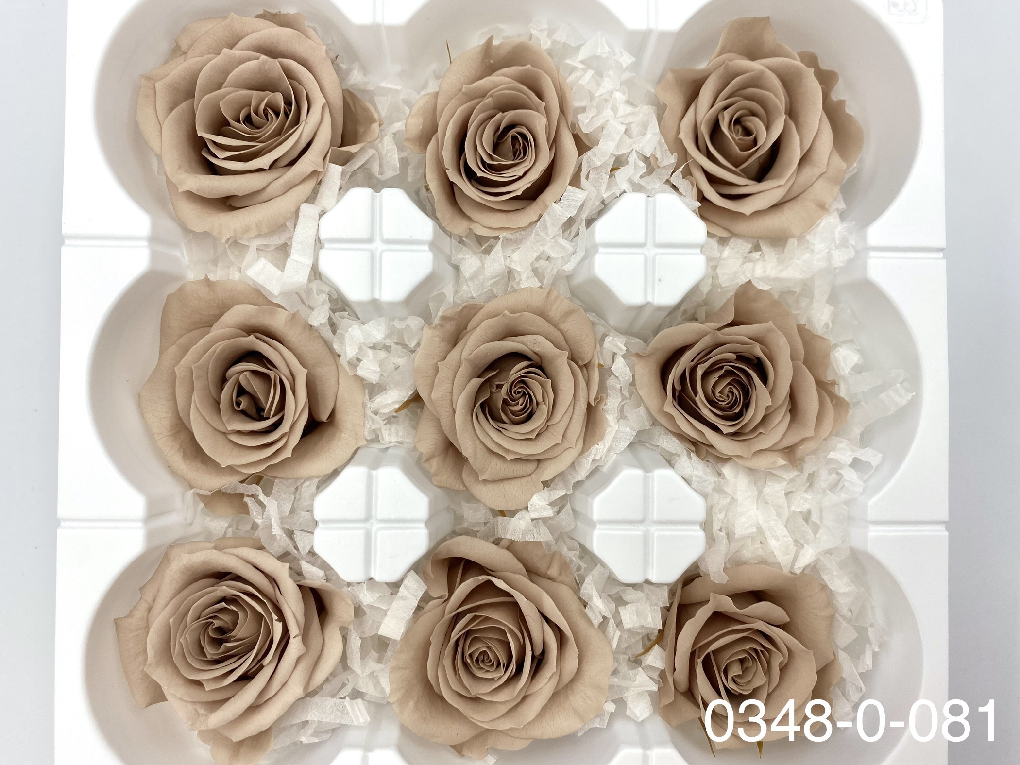 日本不凋中輪玫瑰(9朵) 03480-081