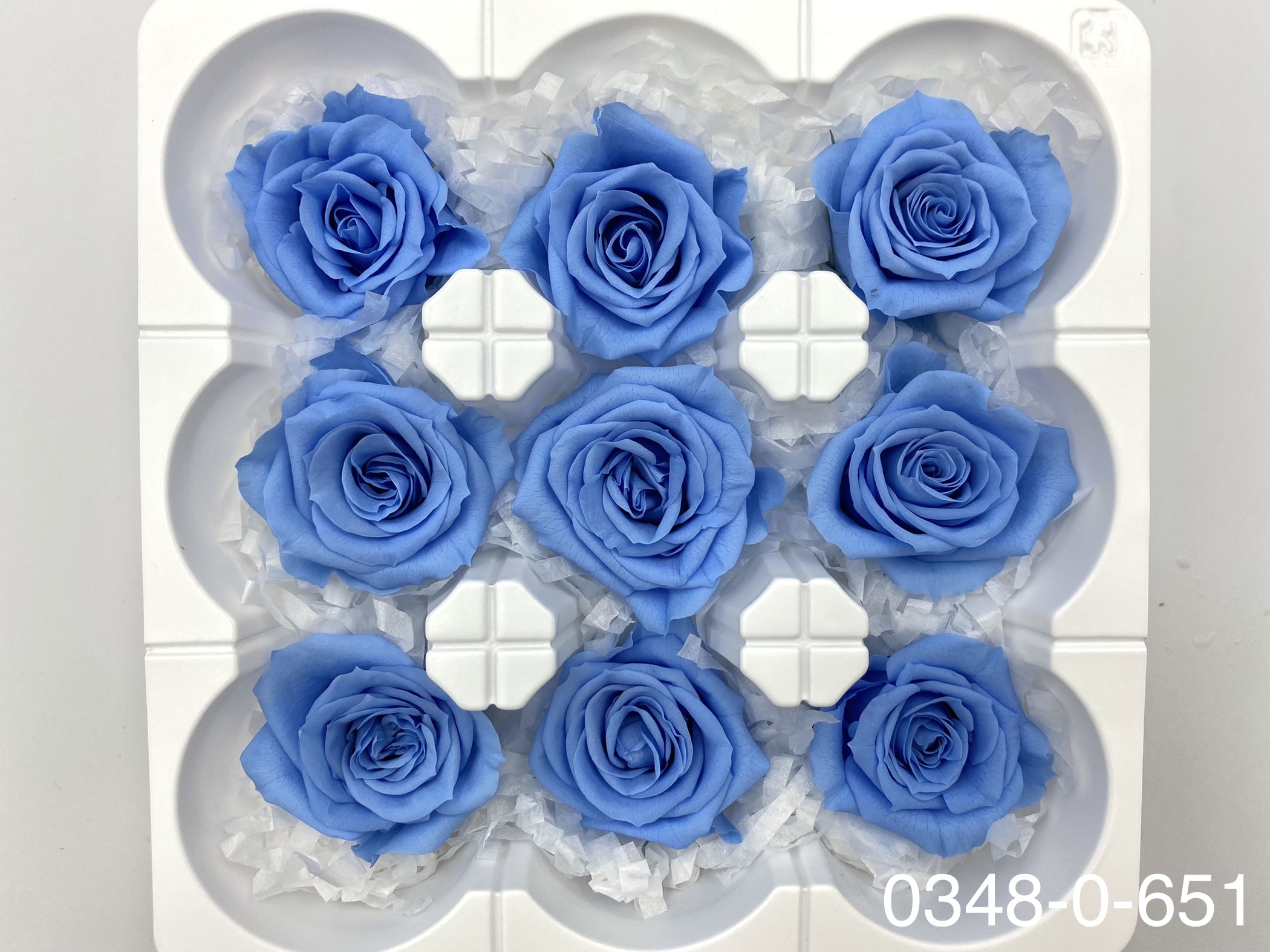 日本不凋中輪玫瑰(9朵) 03480-651