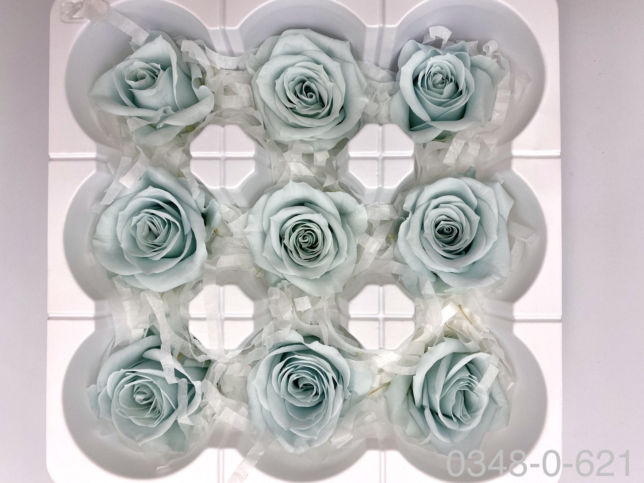 日本不凋中輪玫瑰(9朵) 03480-621