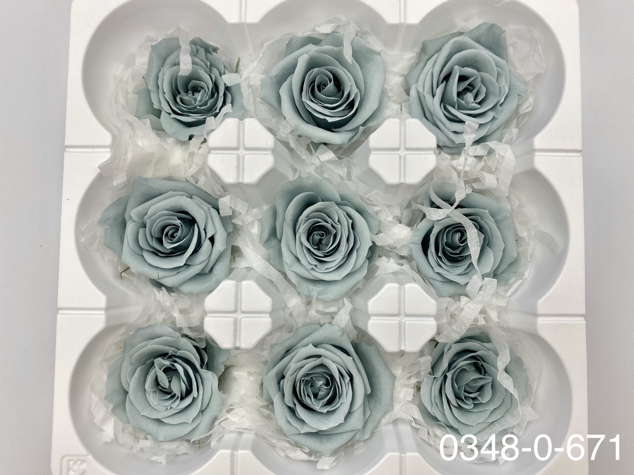 日本不凋中輪玫瑰(9朵) 03480-671