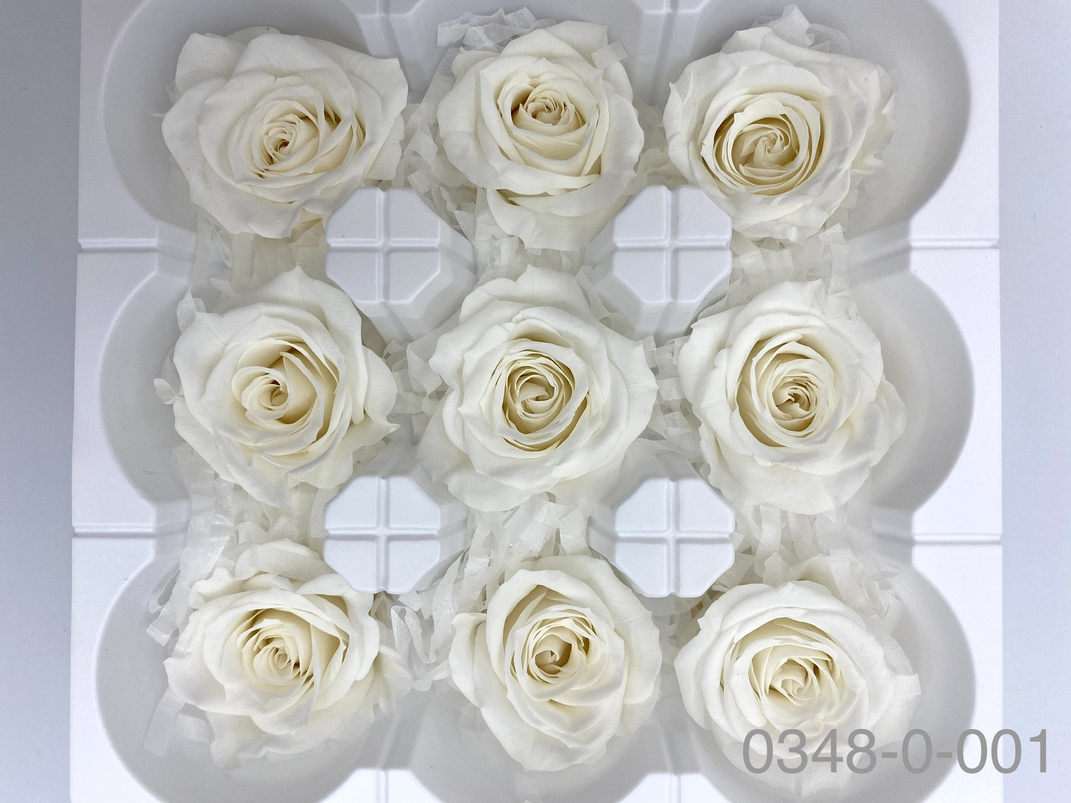 日本不凋中輪玫瑰(9朵) 03480-001