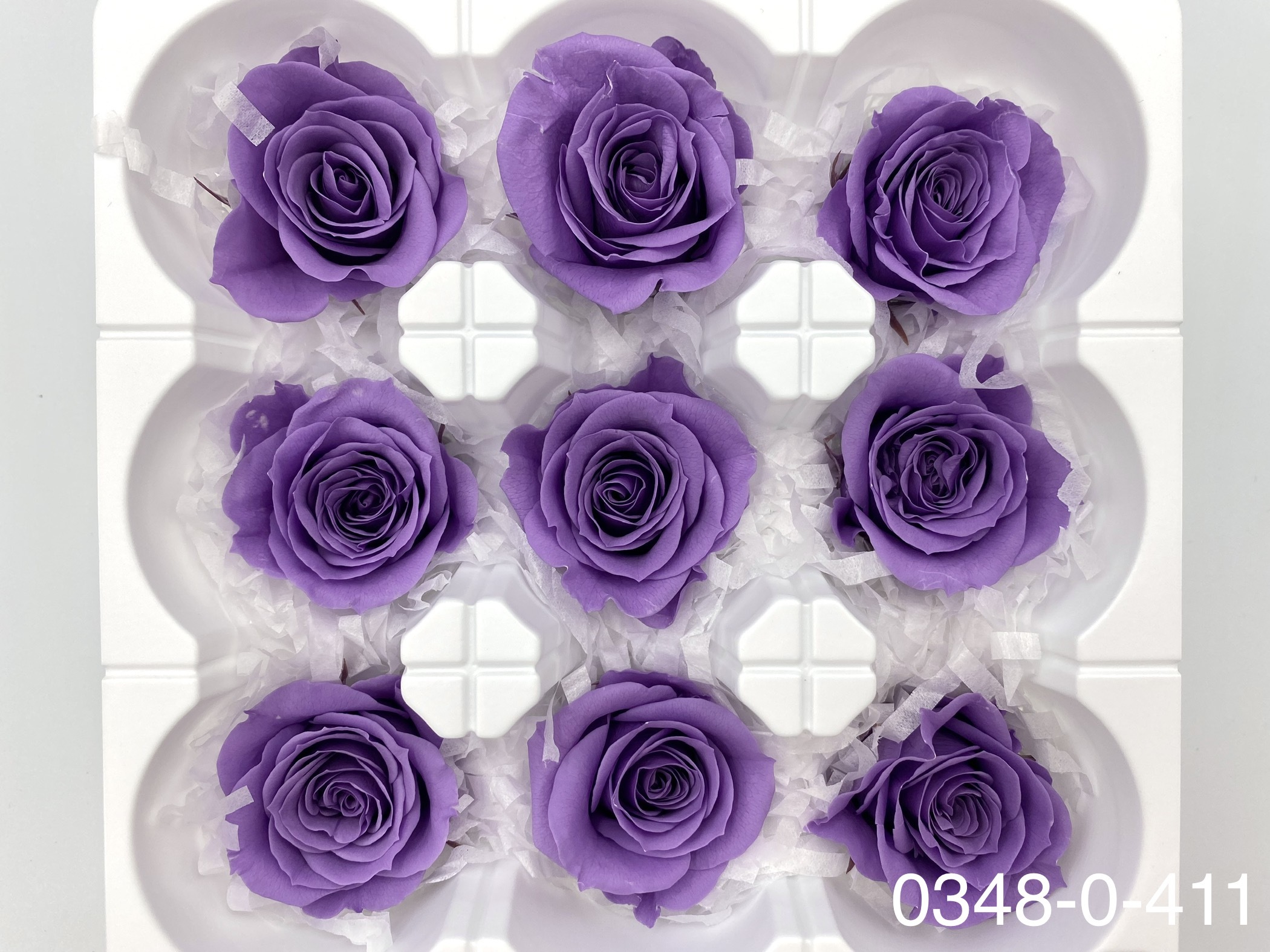 日本不凋中輪玫瑰(9朵) 03480-411