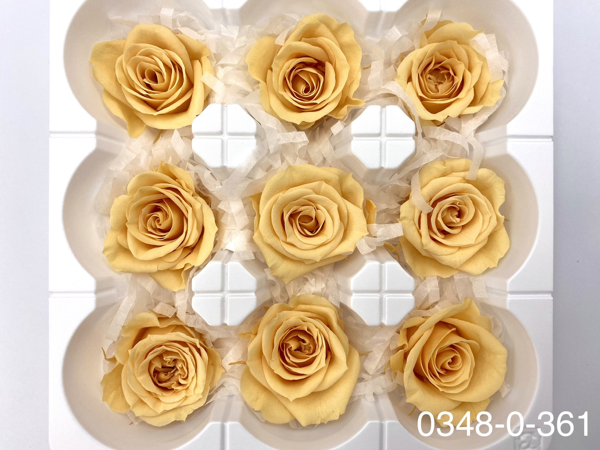 日本不凋中輪玫瑰(9朵) 03480-361