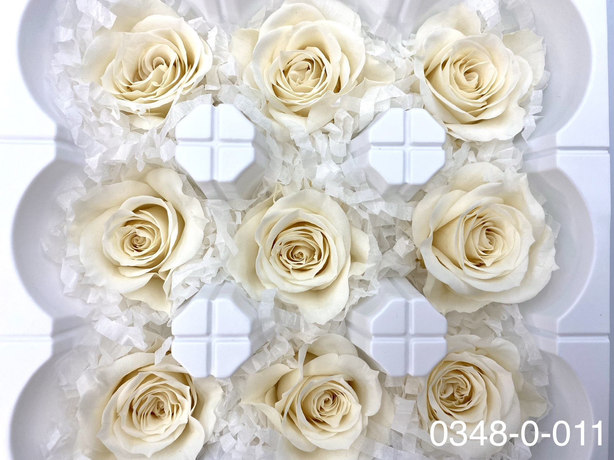 日本不凋中輪玫瑰(9朵) 03480-011