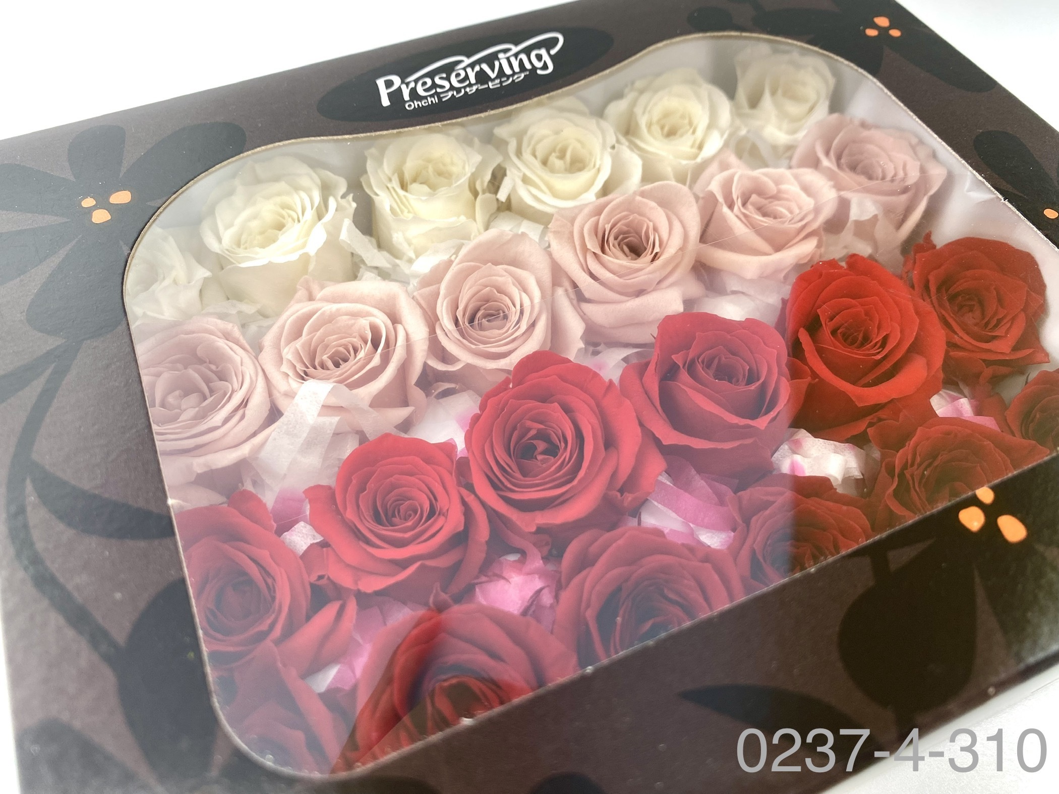 日本不凋迷你玫瑰(24朵) 02374-310