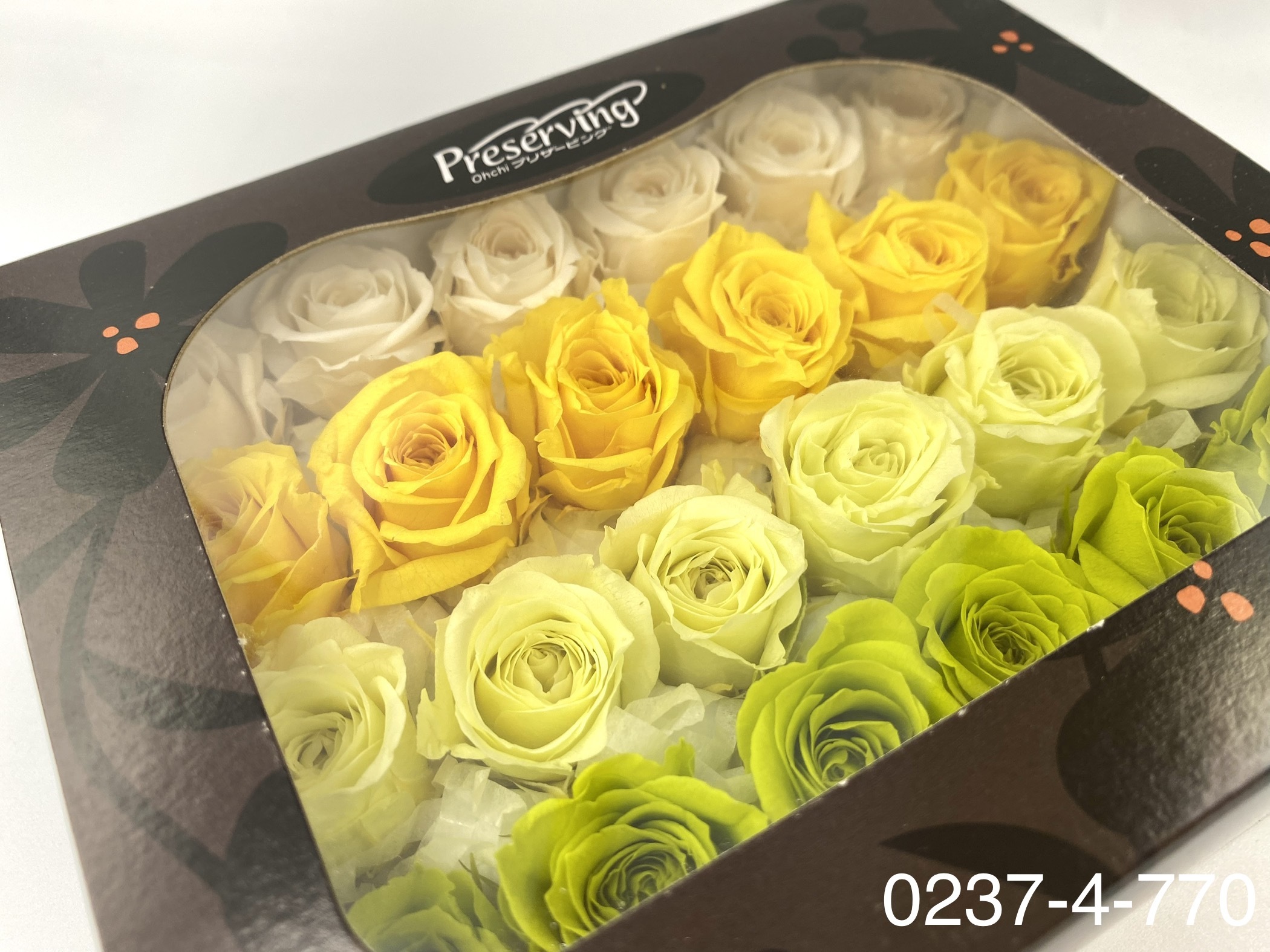 日本不凋迷你玫瑰(24朵) 02374-770