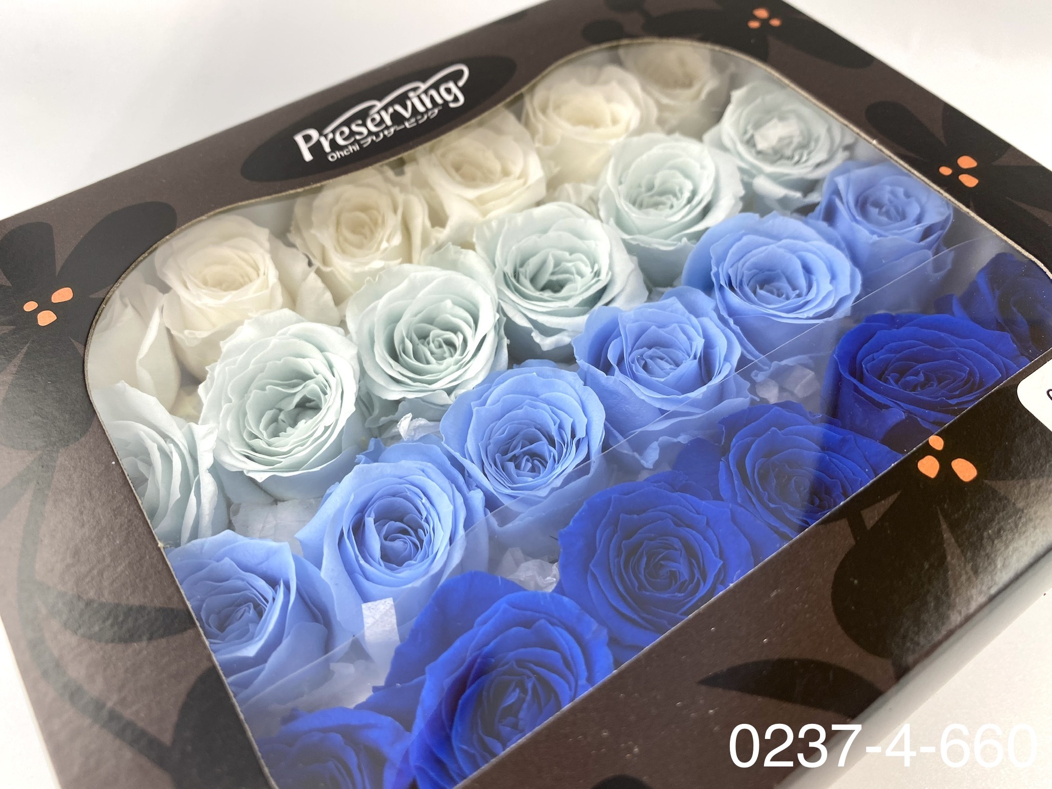 日本不凋迷你玫瑰(24朵) 02374-660