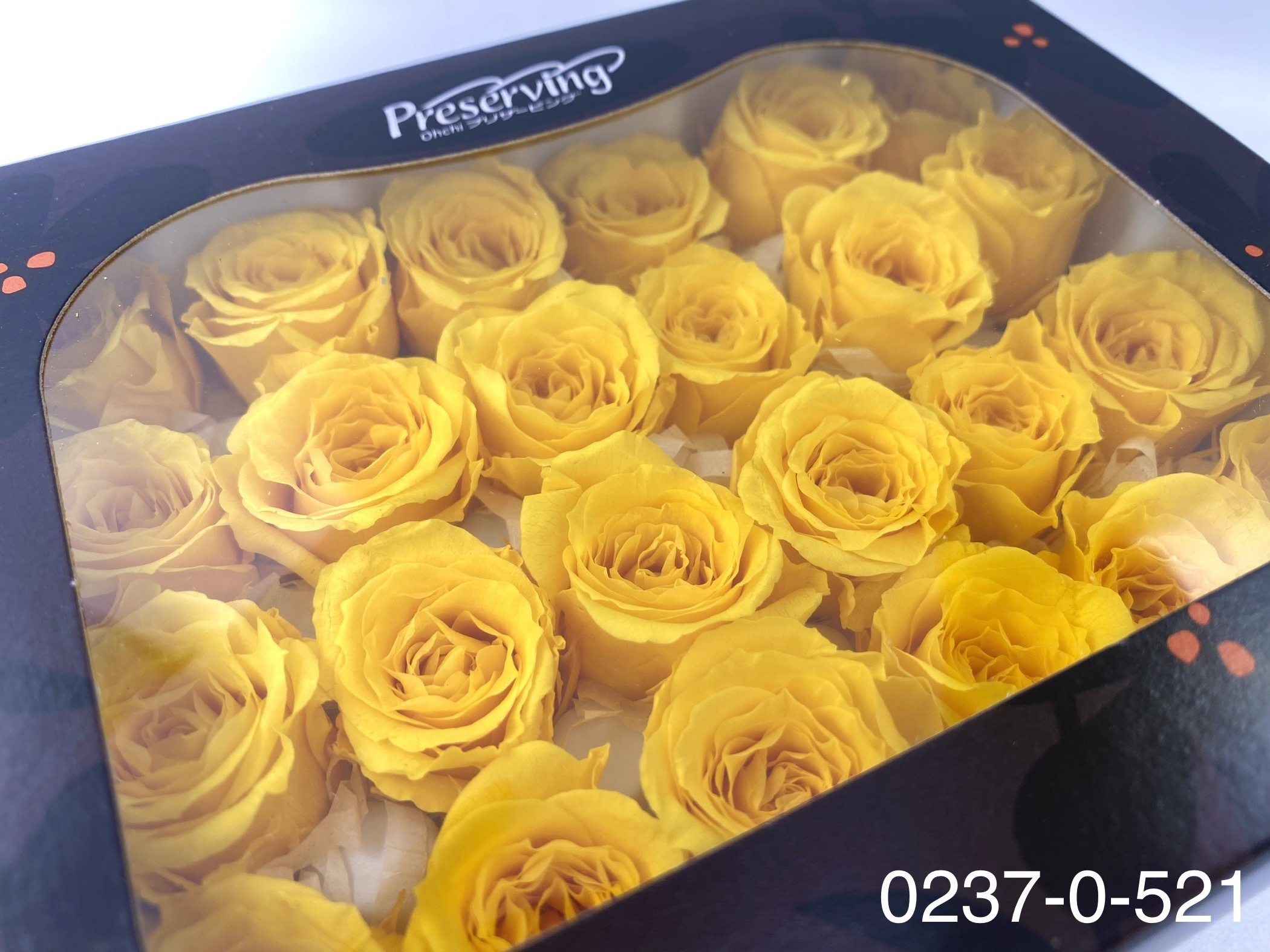 日本不凋迷你玫瑰(24朵) 02370-521