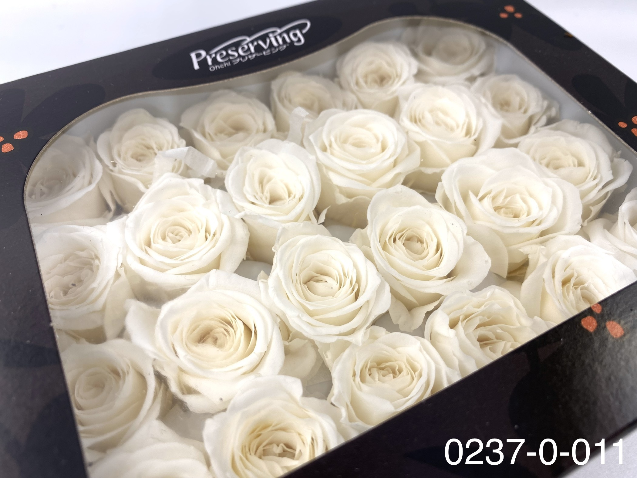 日本不凋迷你玫瑰(24朵) 02370-011