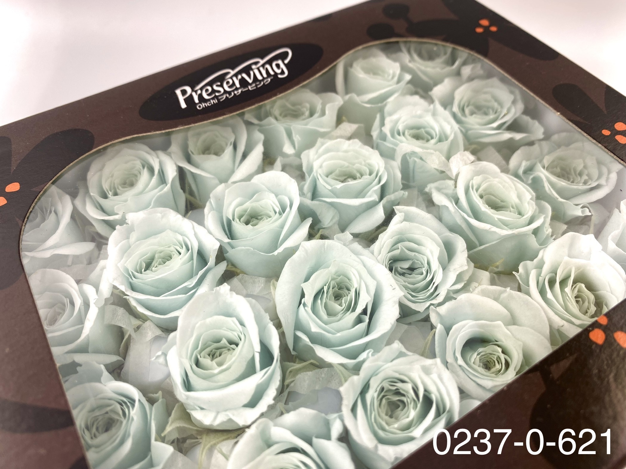 日本不凋迷你玫瑰(24朵) 02370-621