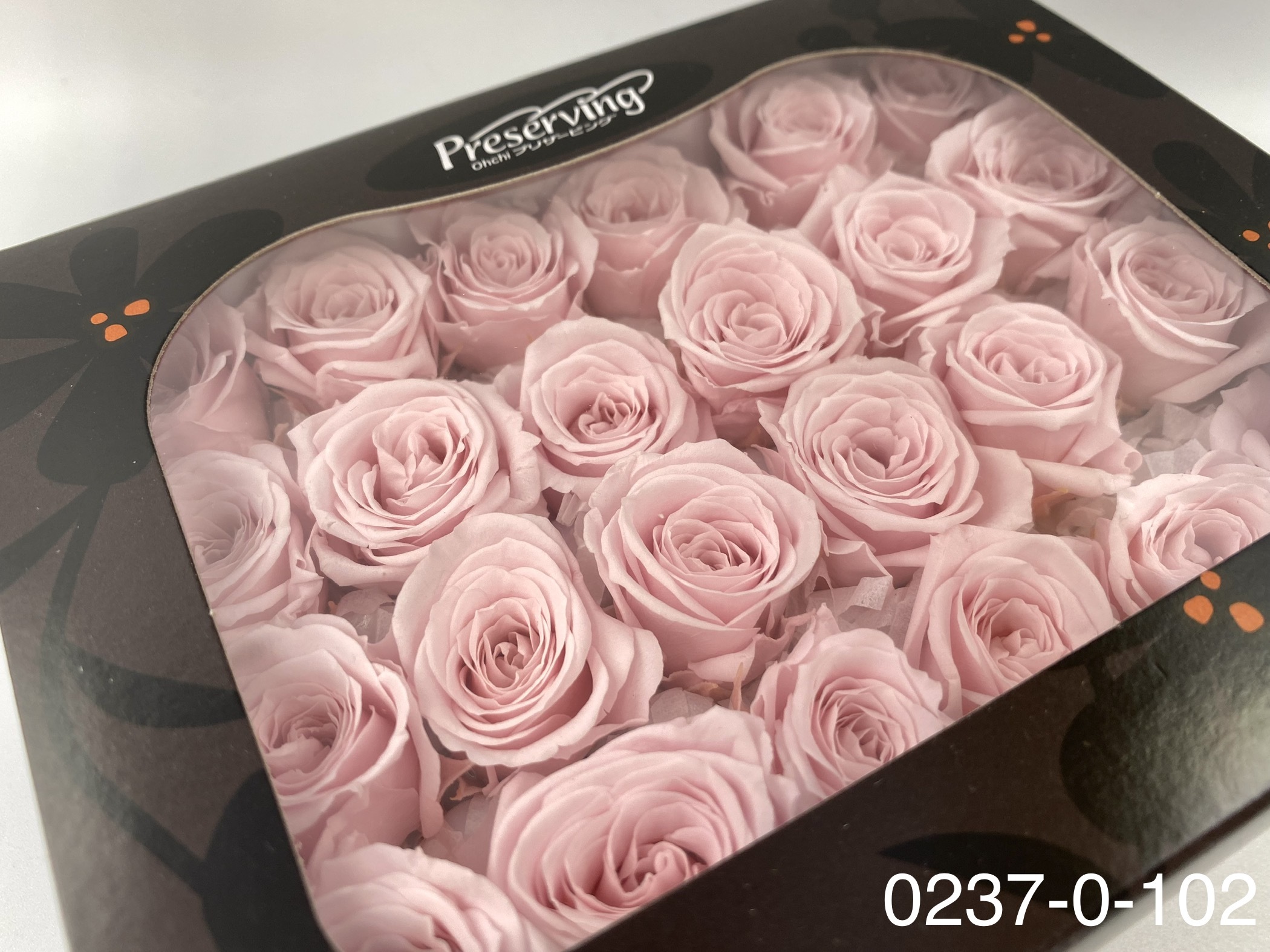 日本不凋迷你玫瑰(24朵) 02370-102