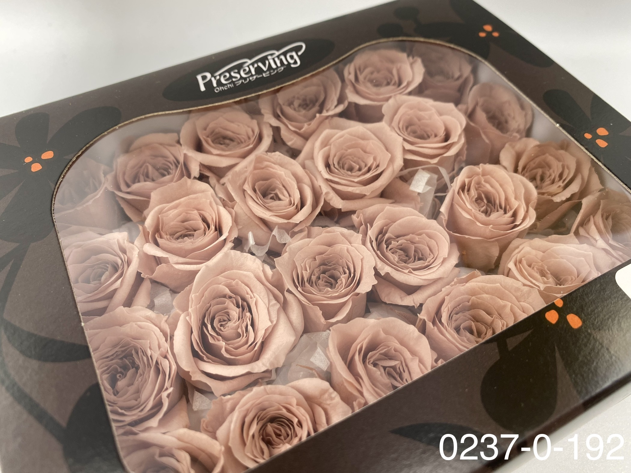 日本不凋迷你玫瑰(24朵) 02370-192