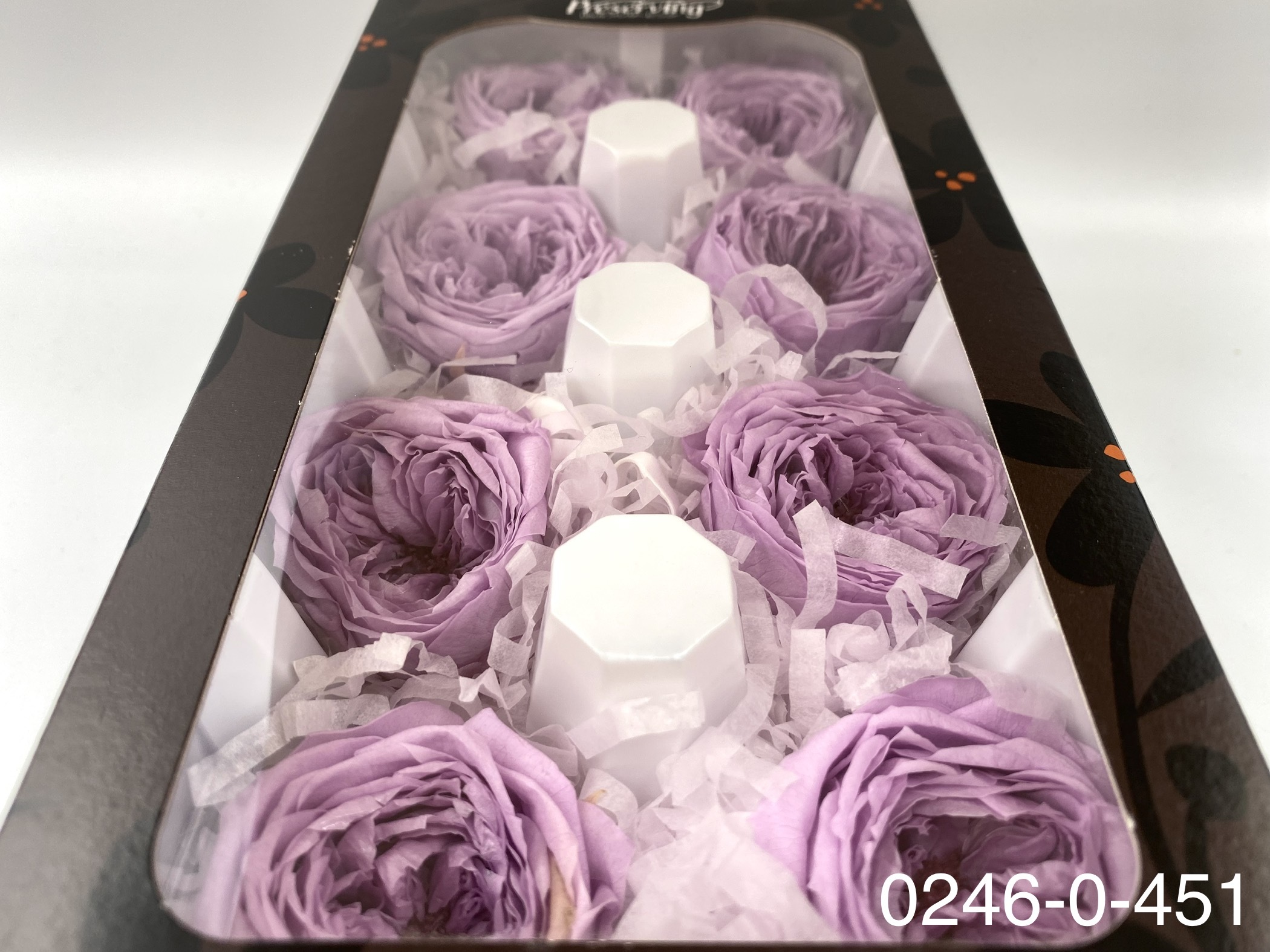 日本不凋庭園玫瑰 02460-451