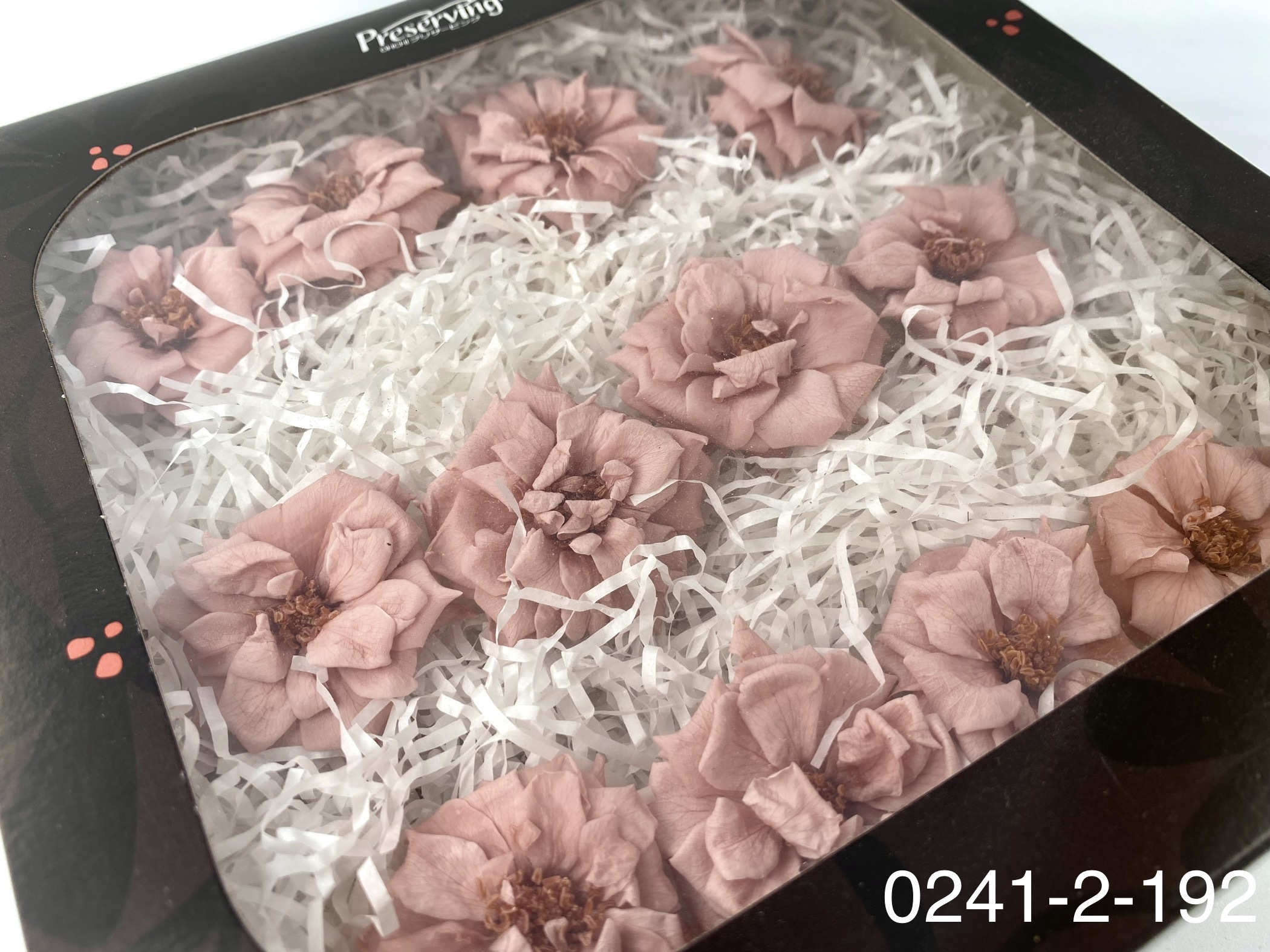 日本不凋薔薇玫瑰 02412-192