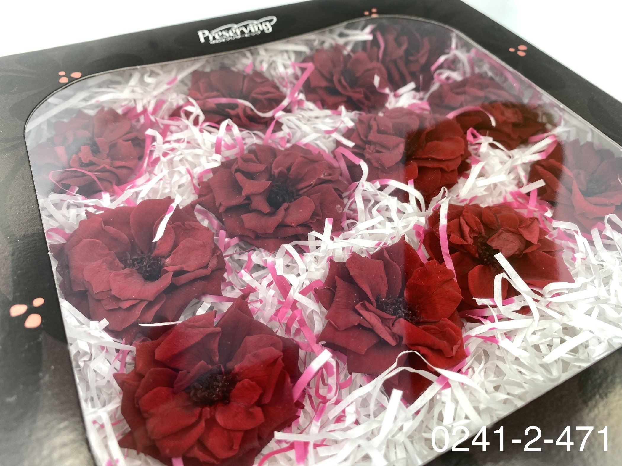 日本不凋薔薇玫瑰 02412-471