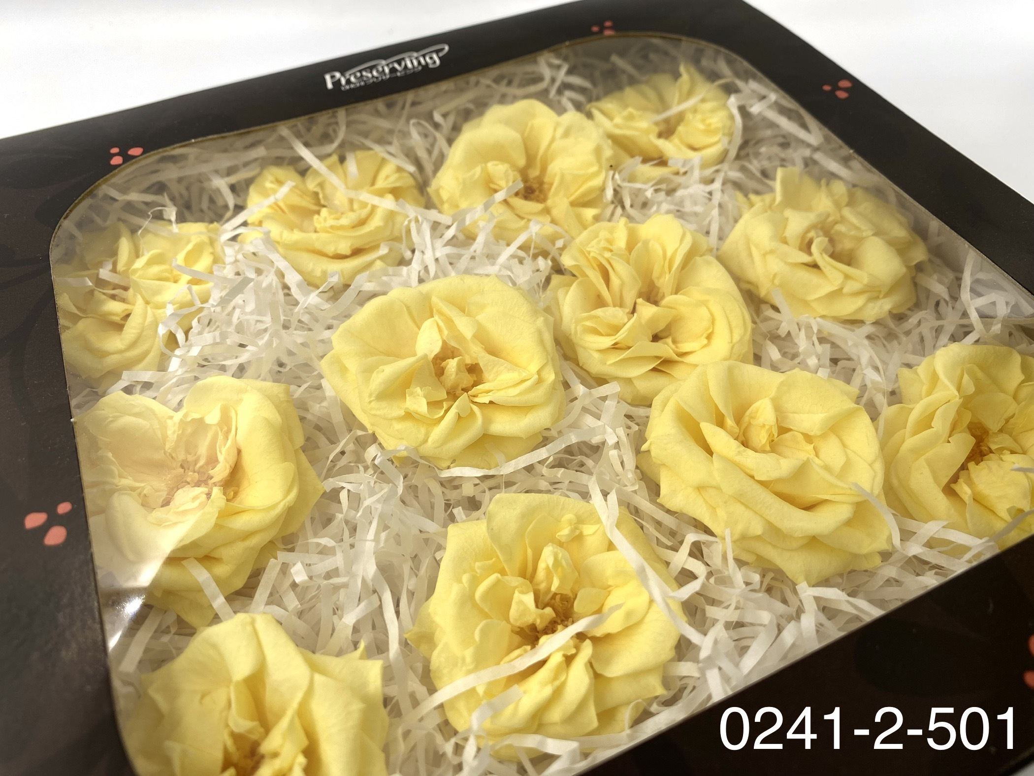 日本不凋薔薇玫瑰 02412-501